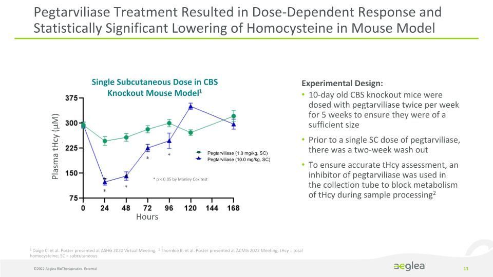 Slide 13