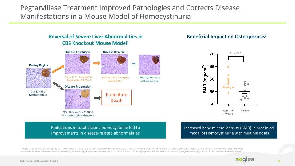 Slide 14