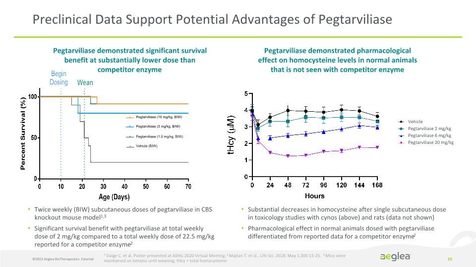 Slide 15