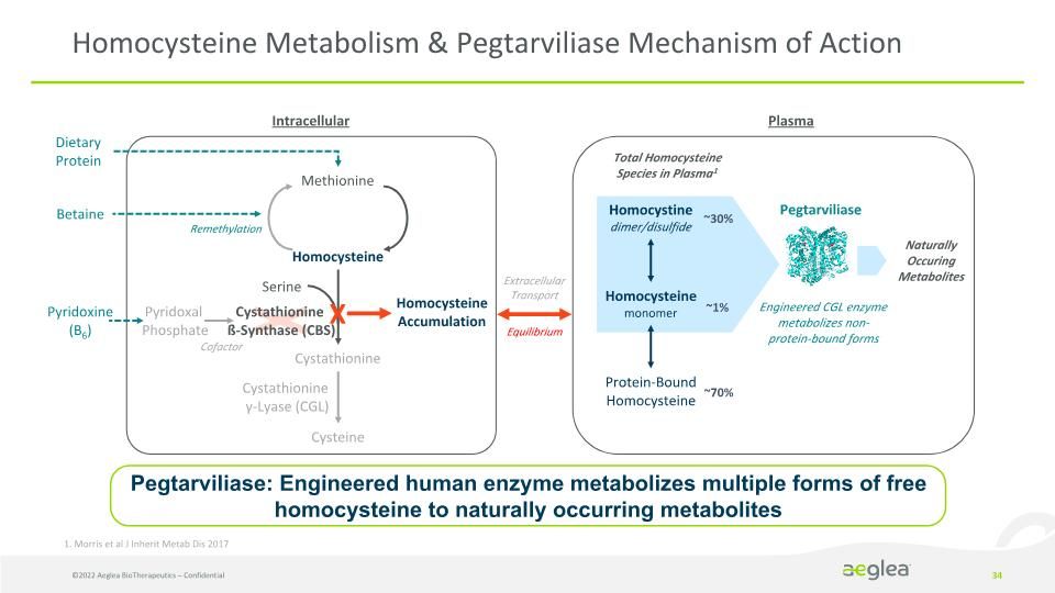 Slide 34