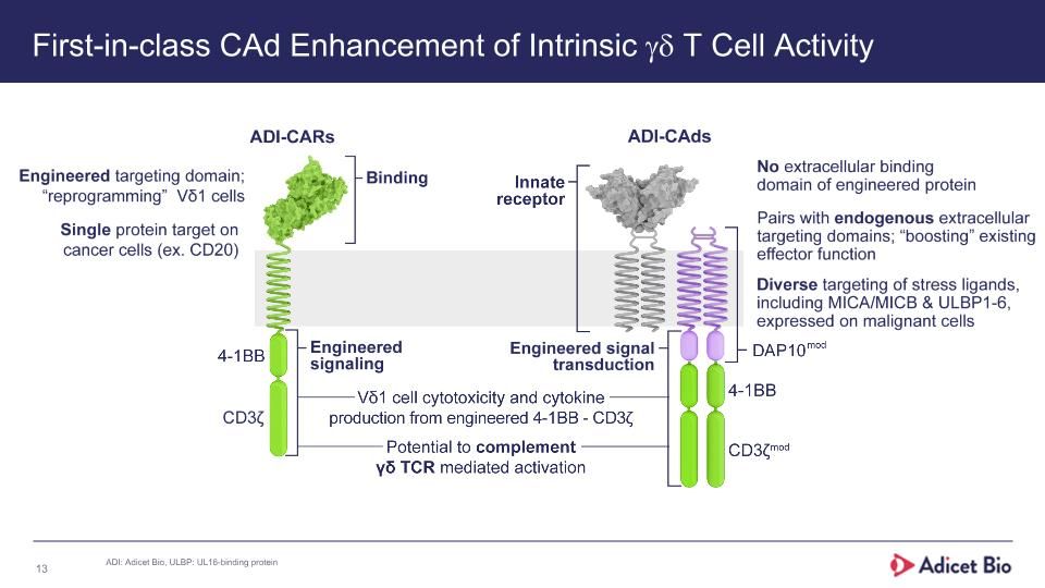 Slide 13