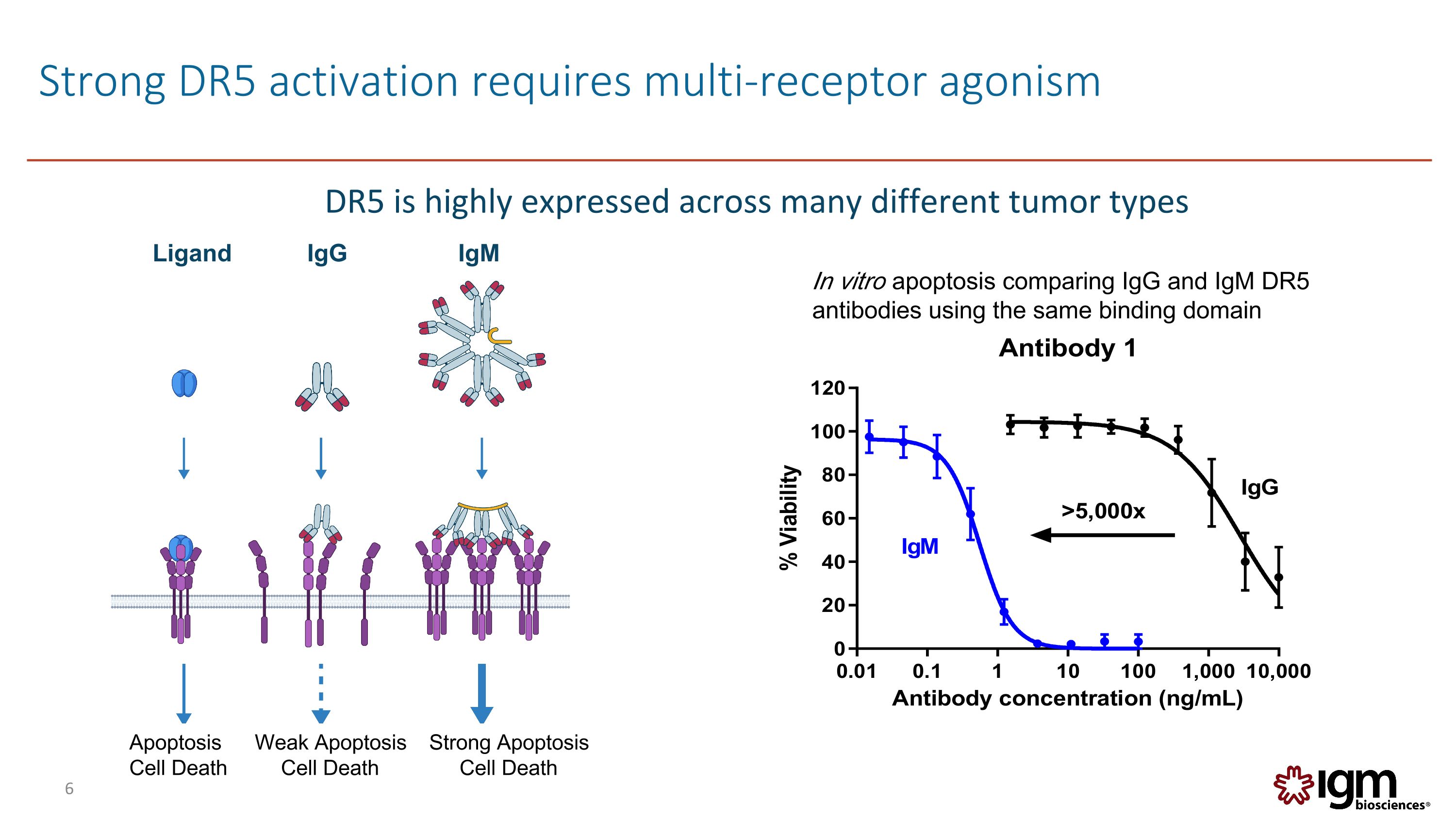 Slide 6