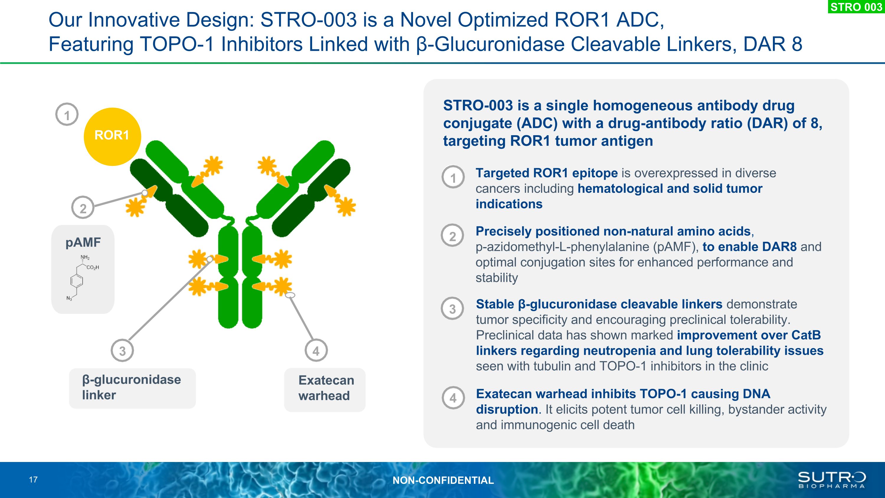 Slide 17