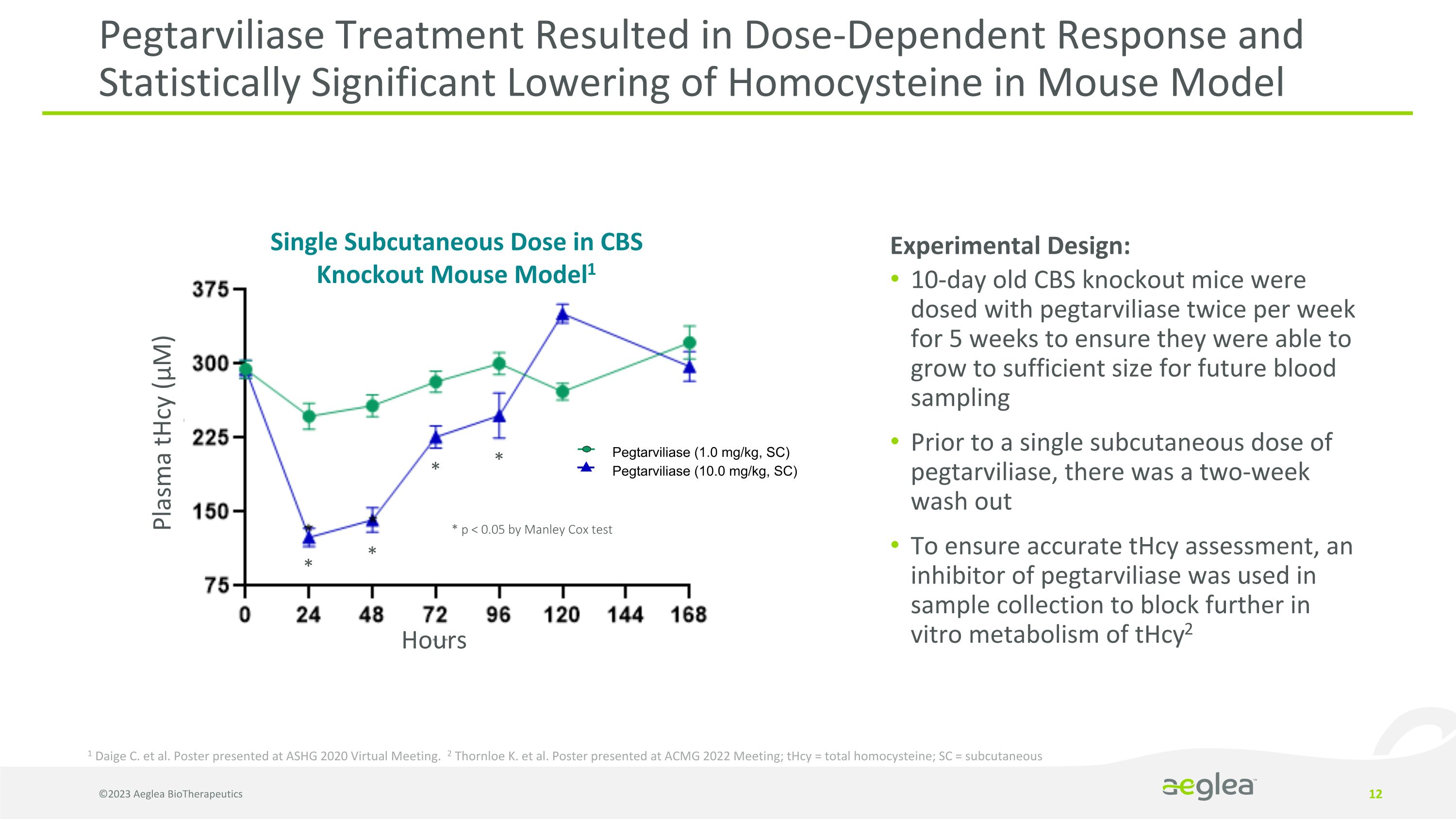 Slide 12