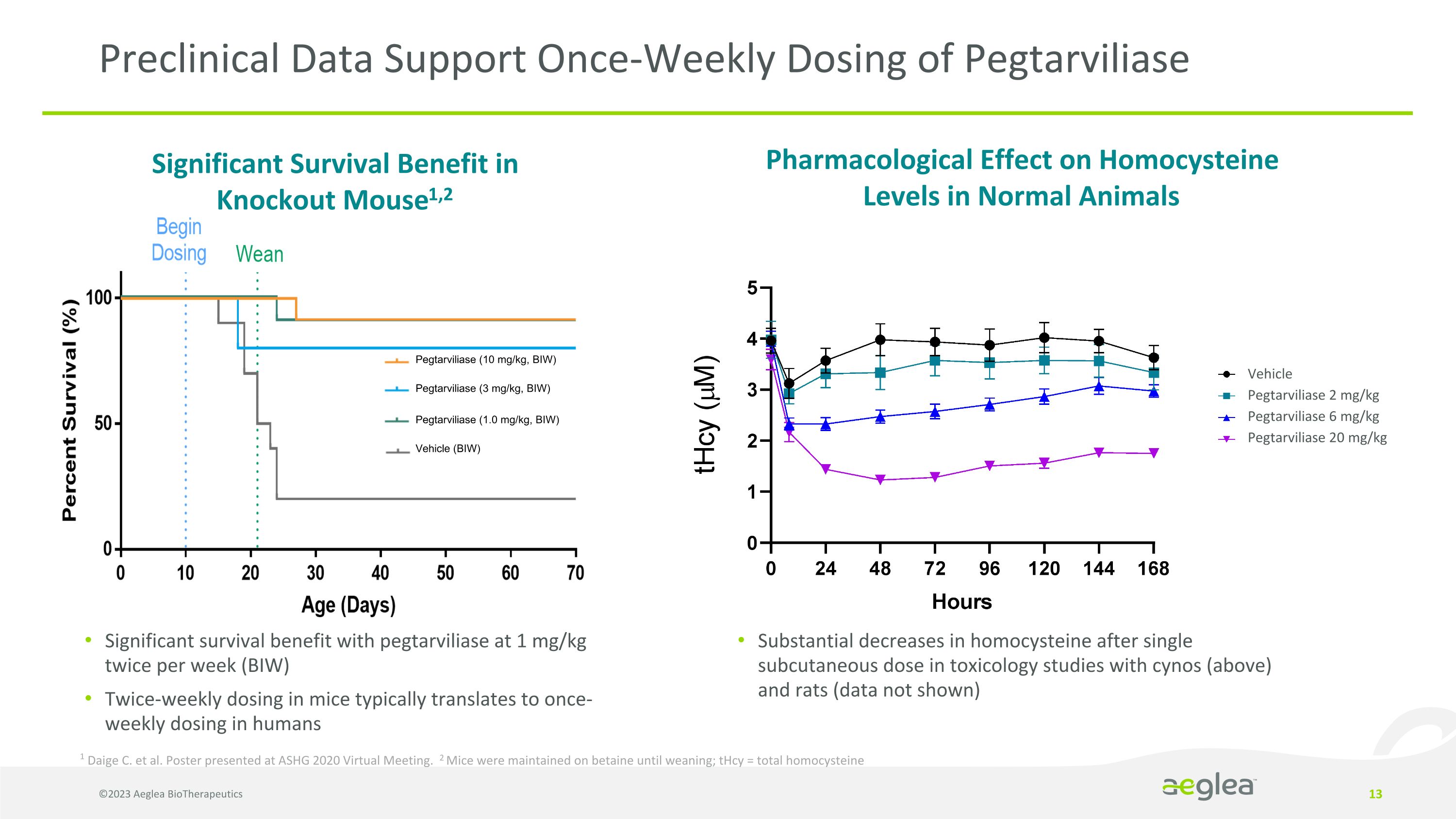 Slide 13