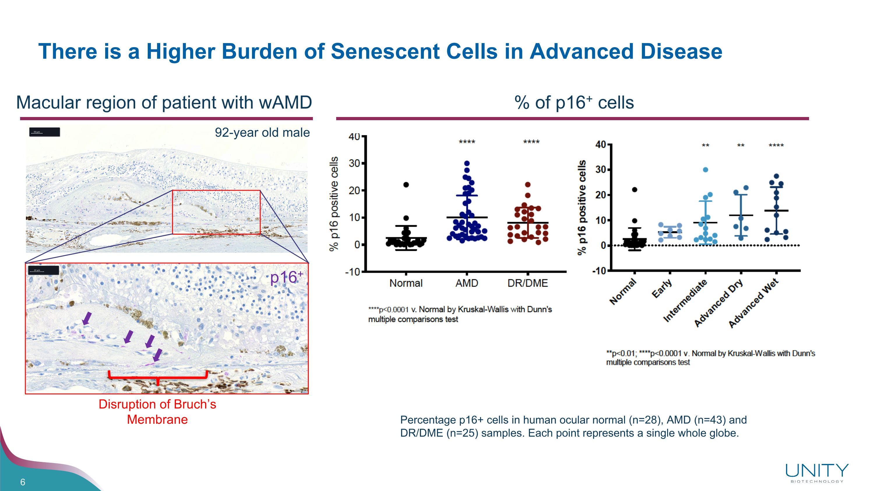 Slide 6