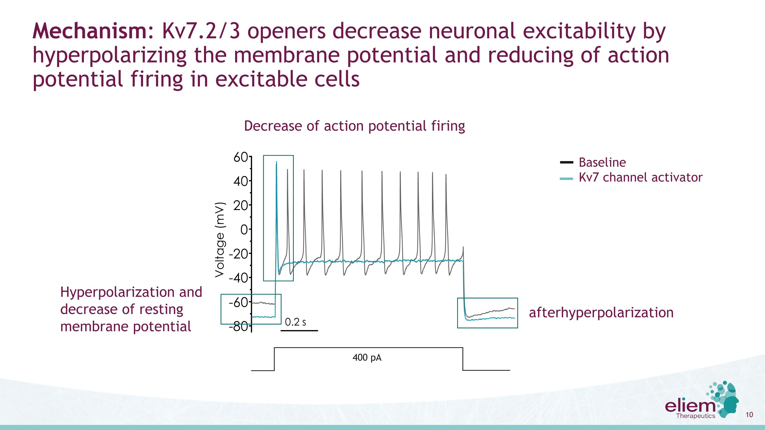 Slide 10