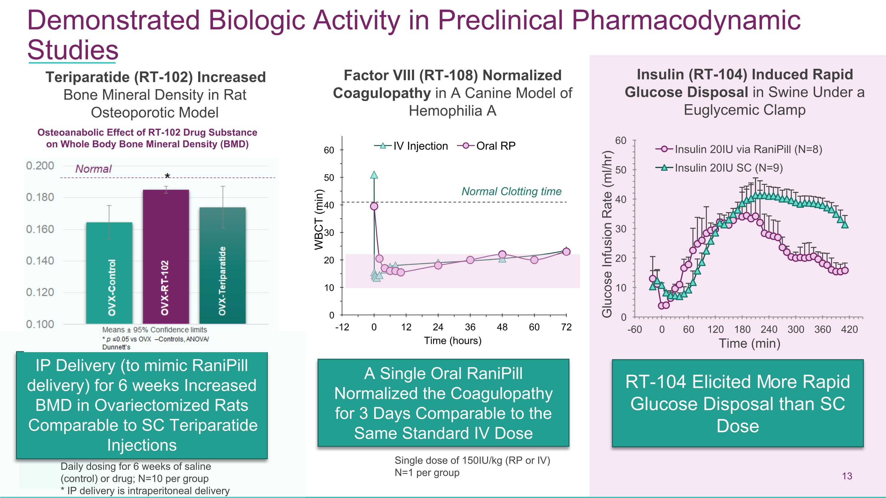 Slide 13