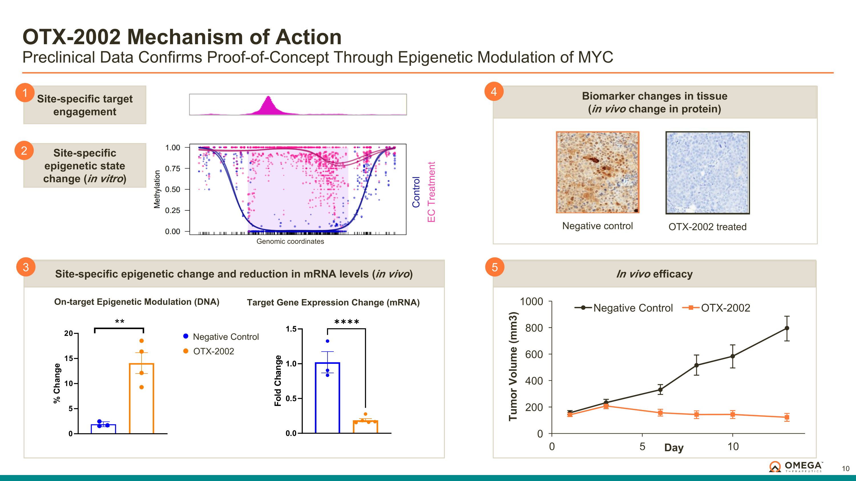 Slide 10