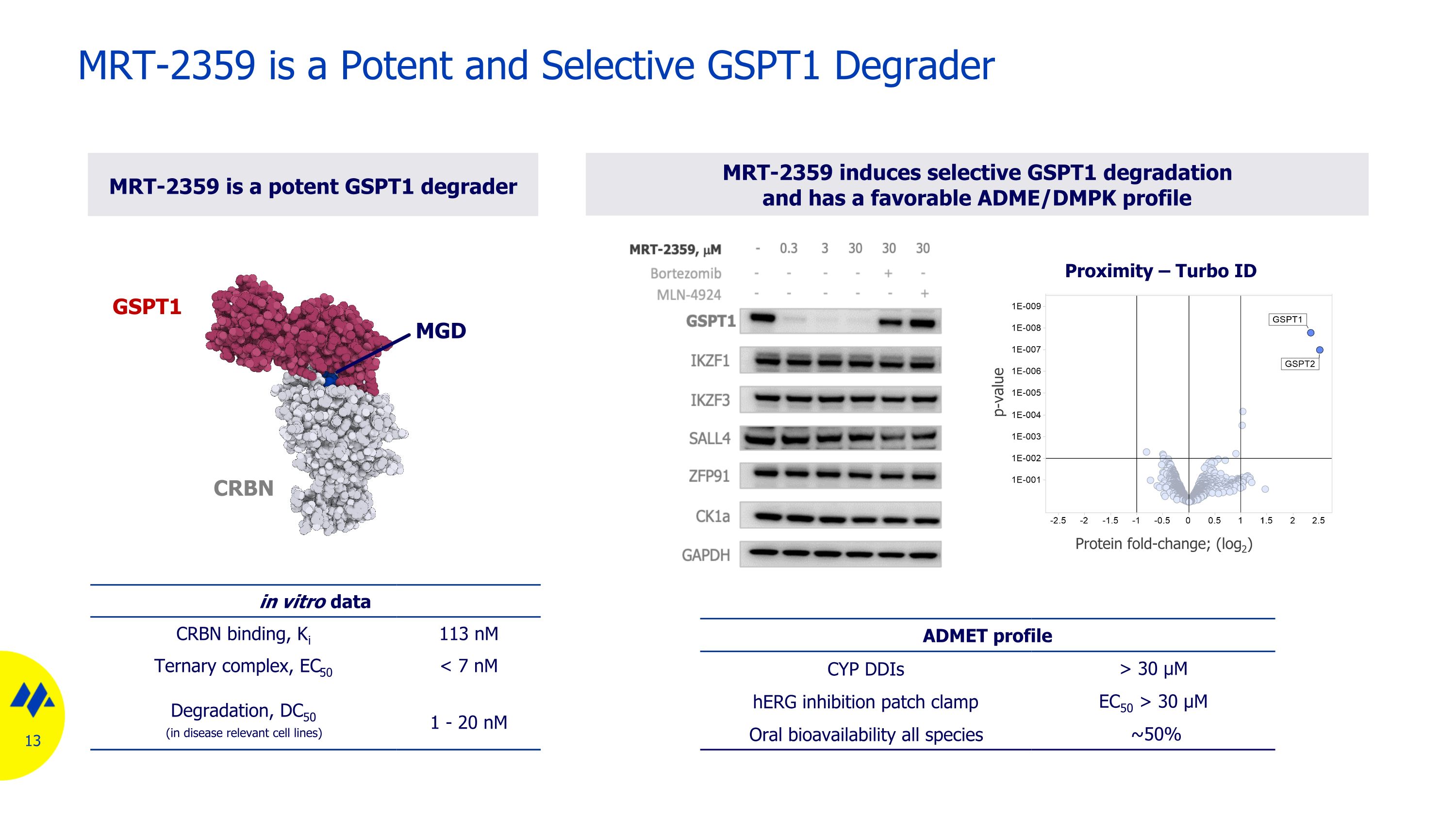 Slide 13