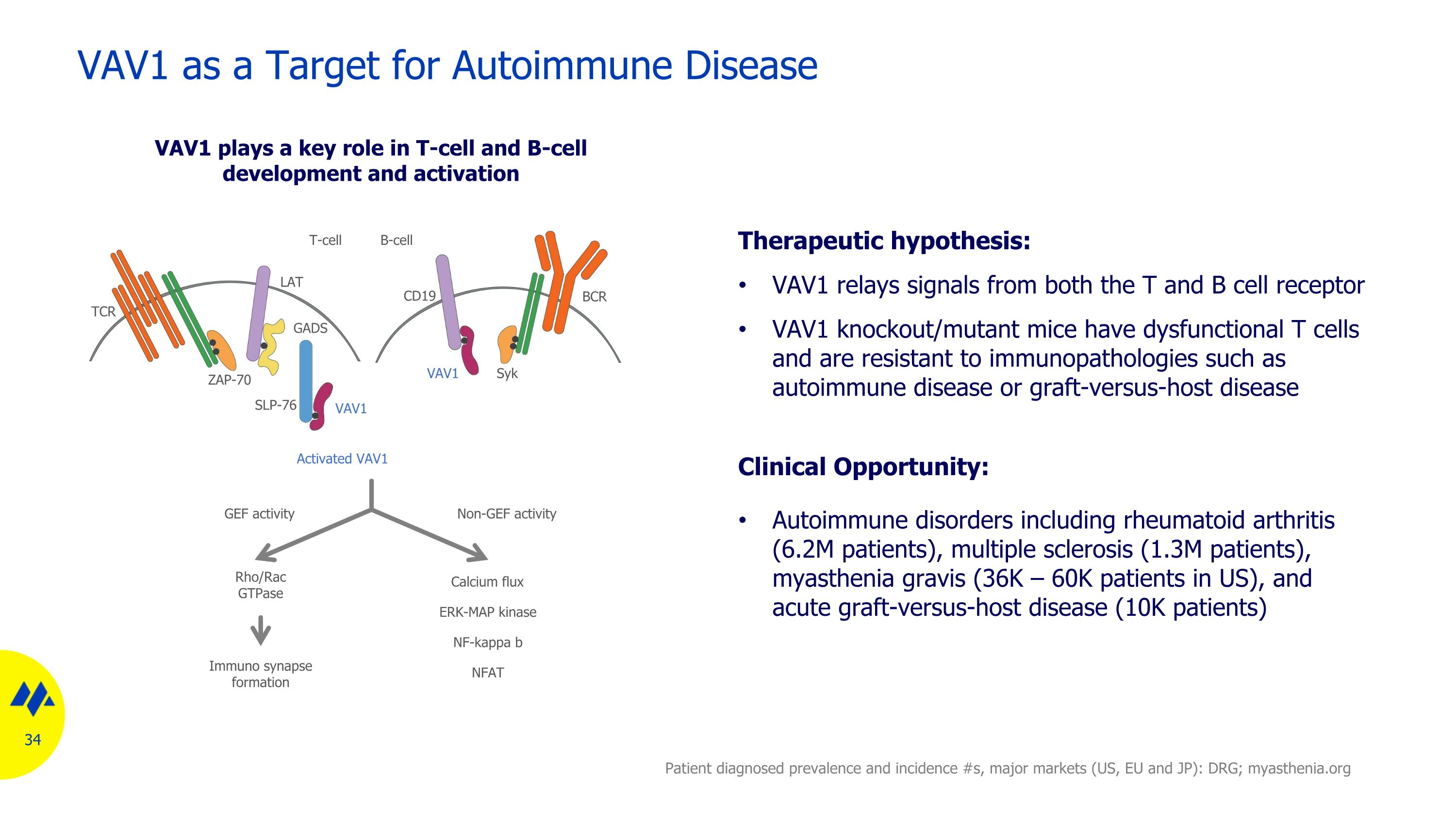 Slide 34