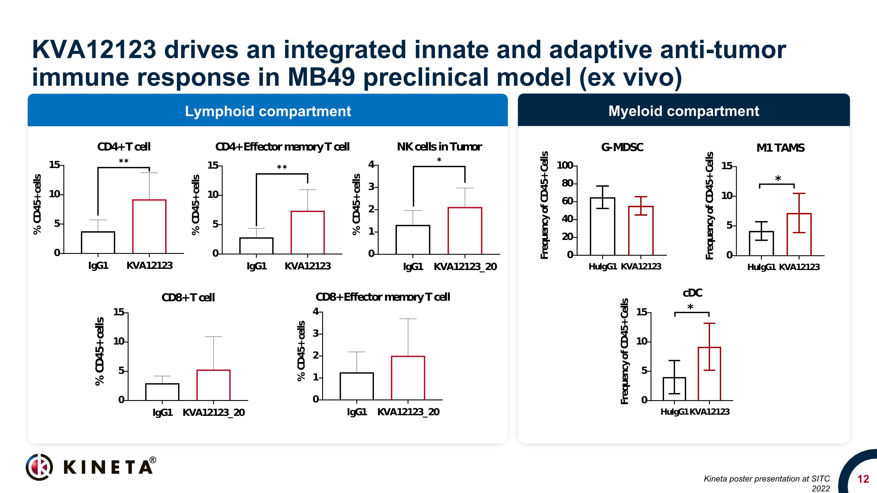 Slide 12