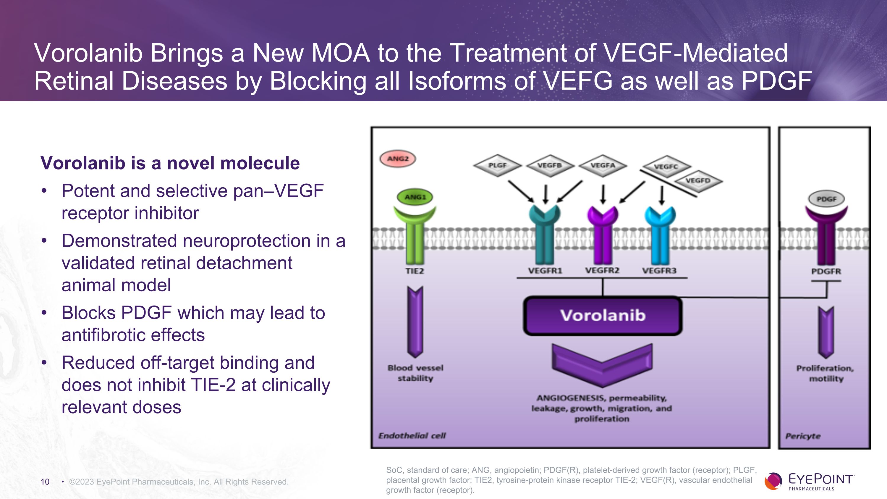 Slide 10