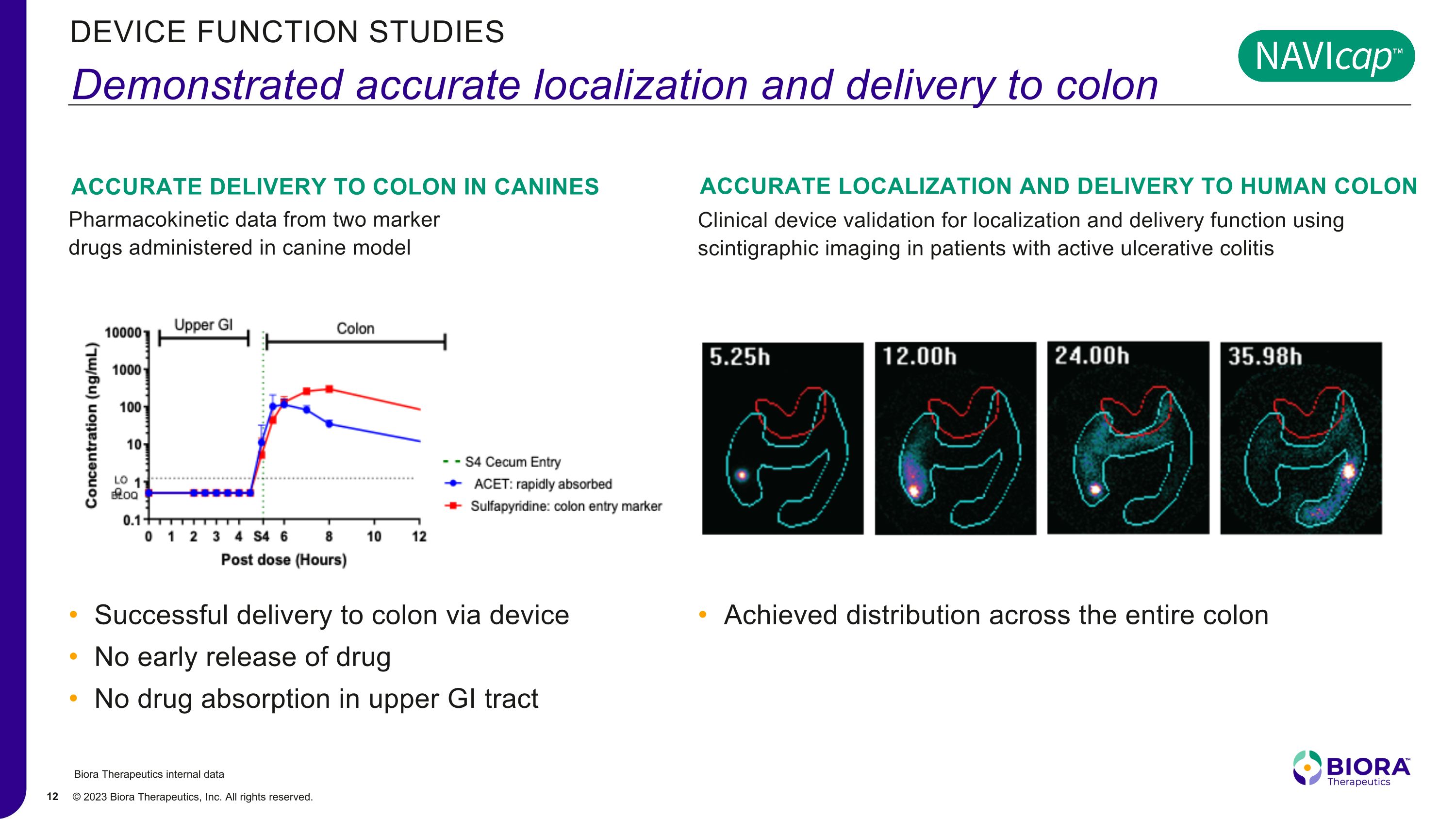 Slide 12