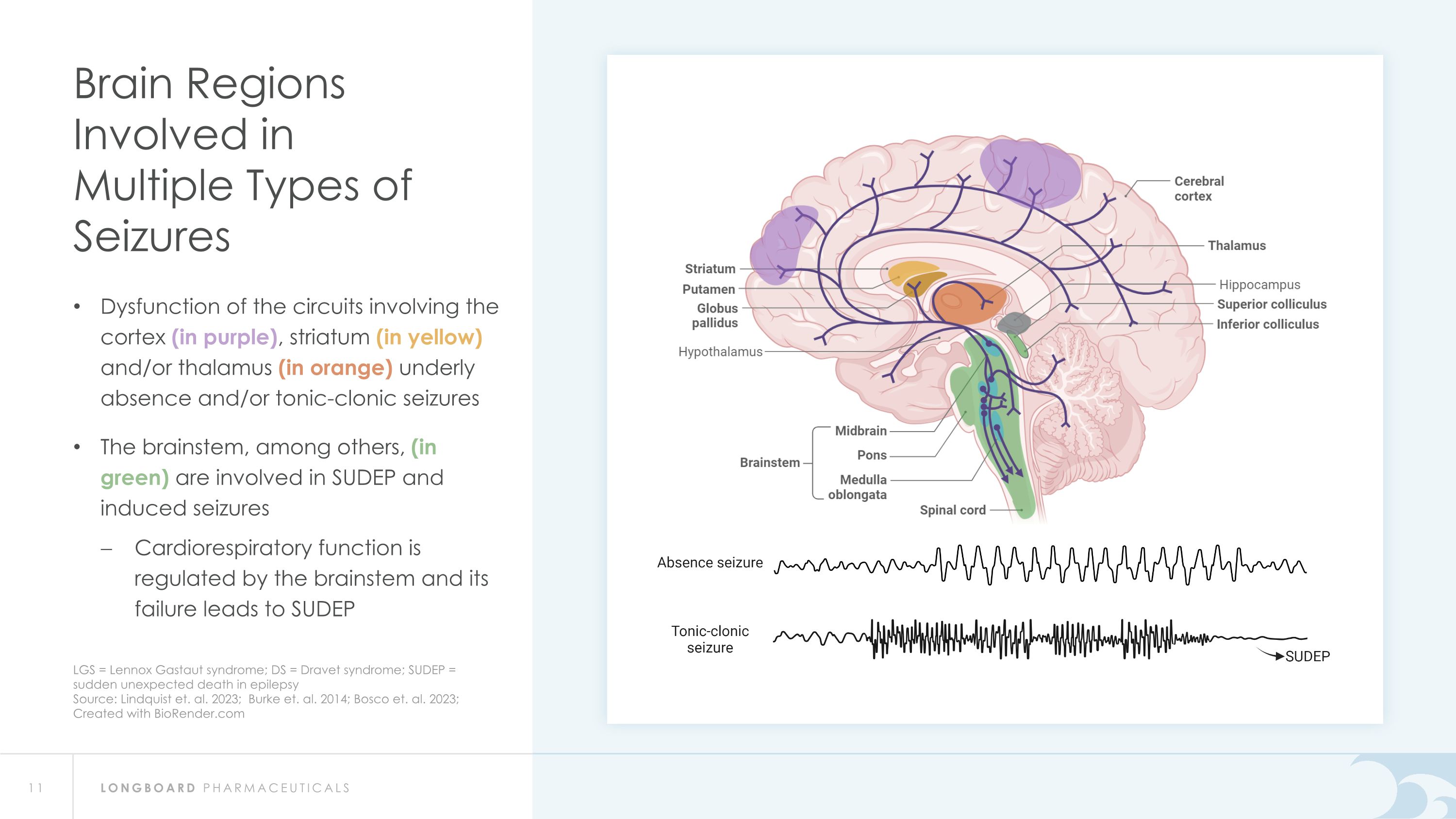 Slide 11