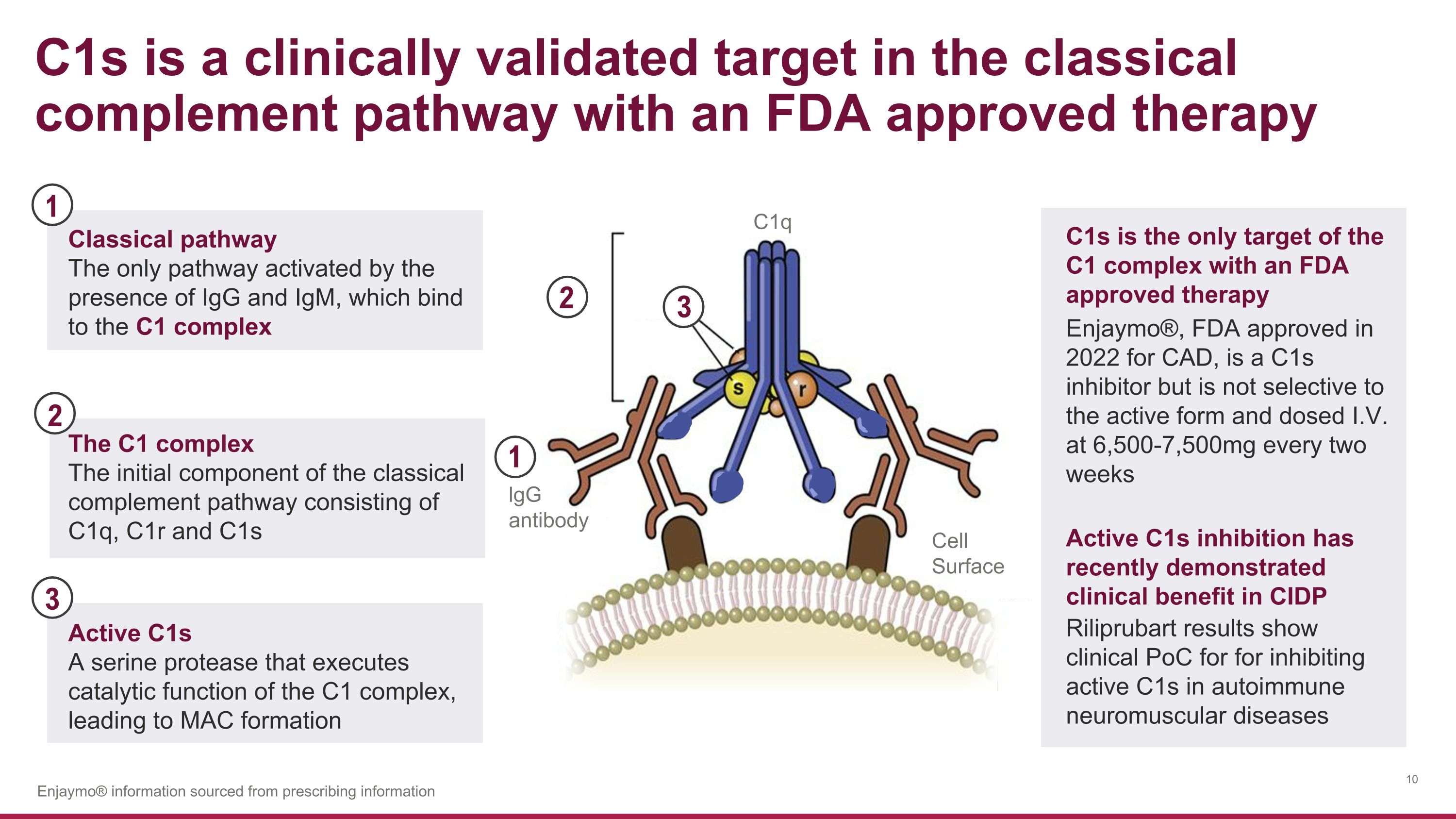 Slide 10