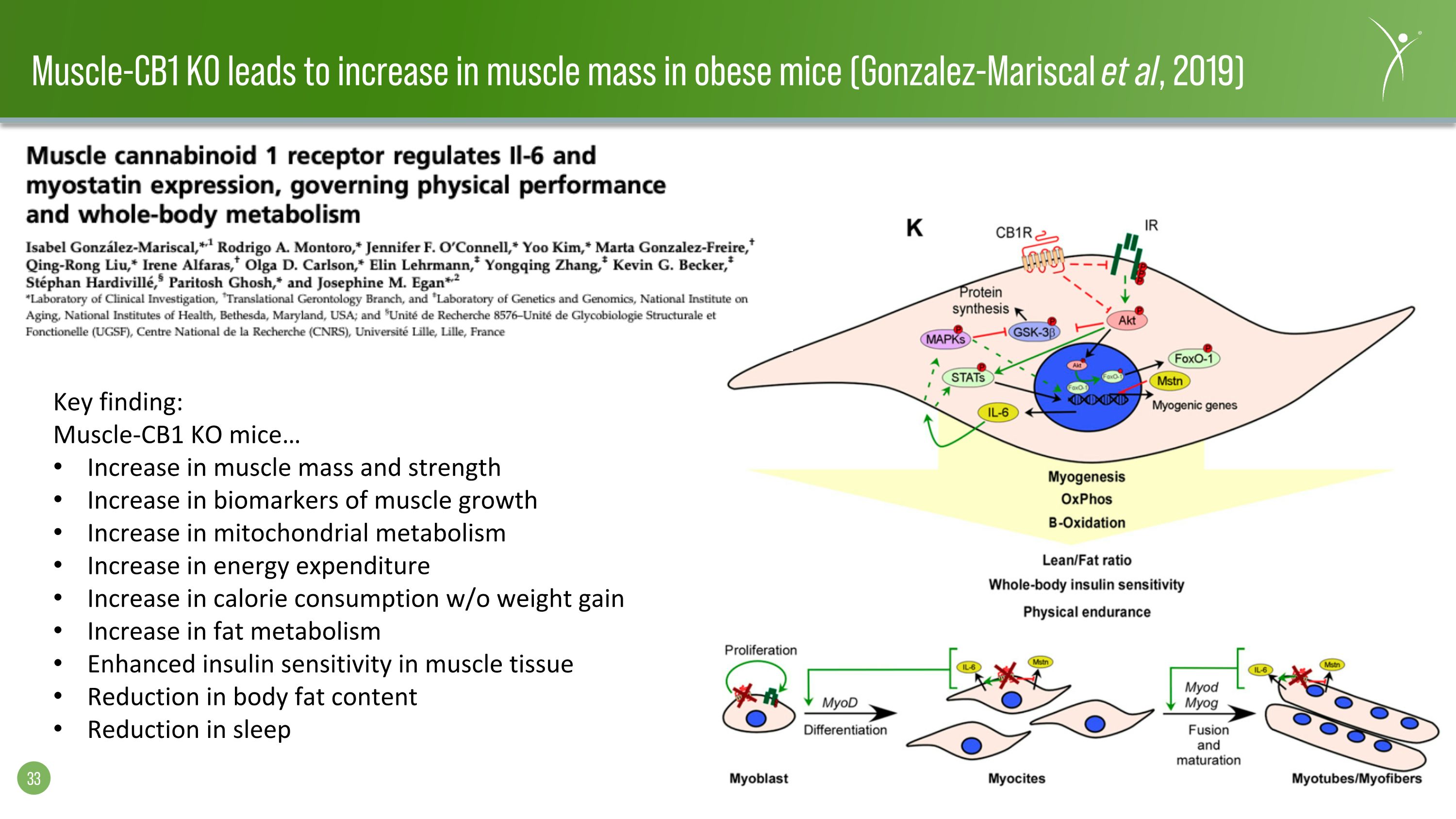 Slide 33