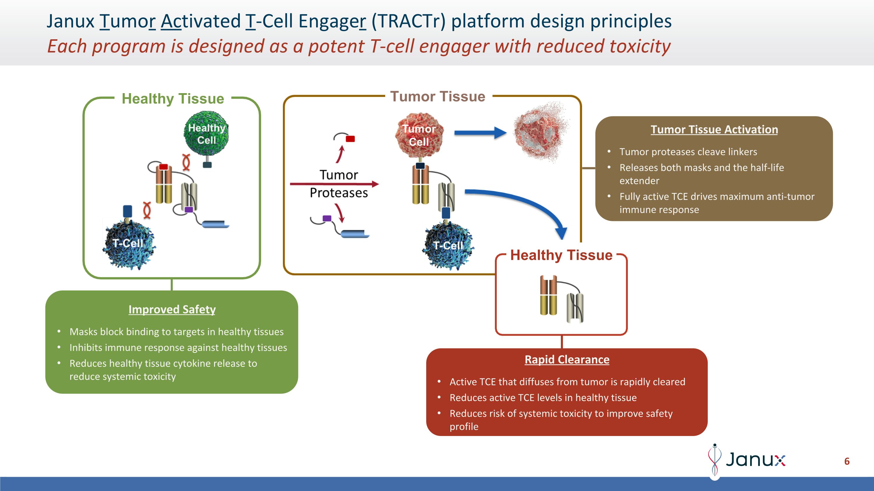 Slide 6