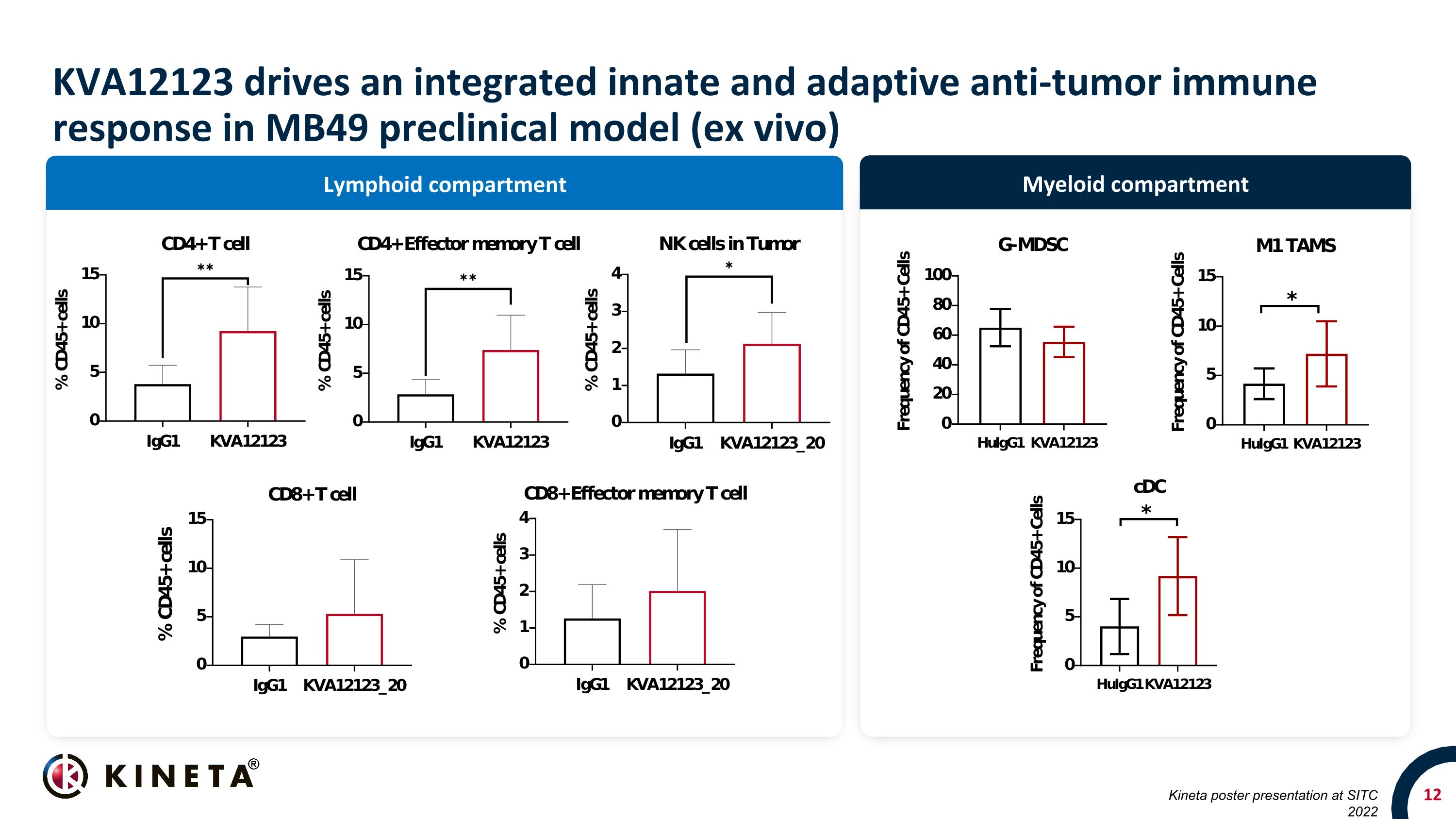 Slide 12