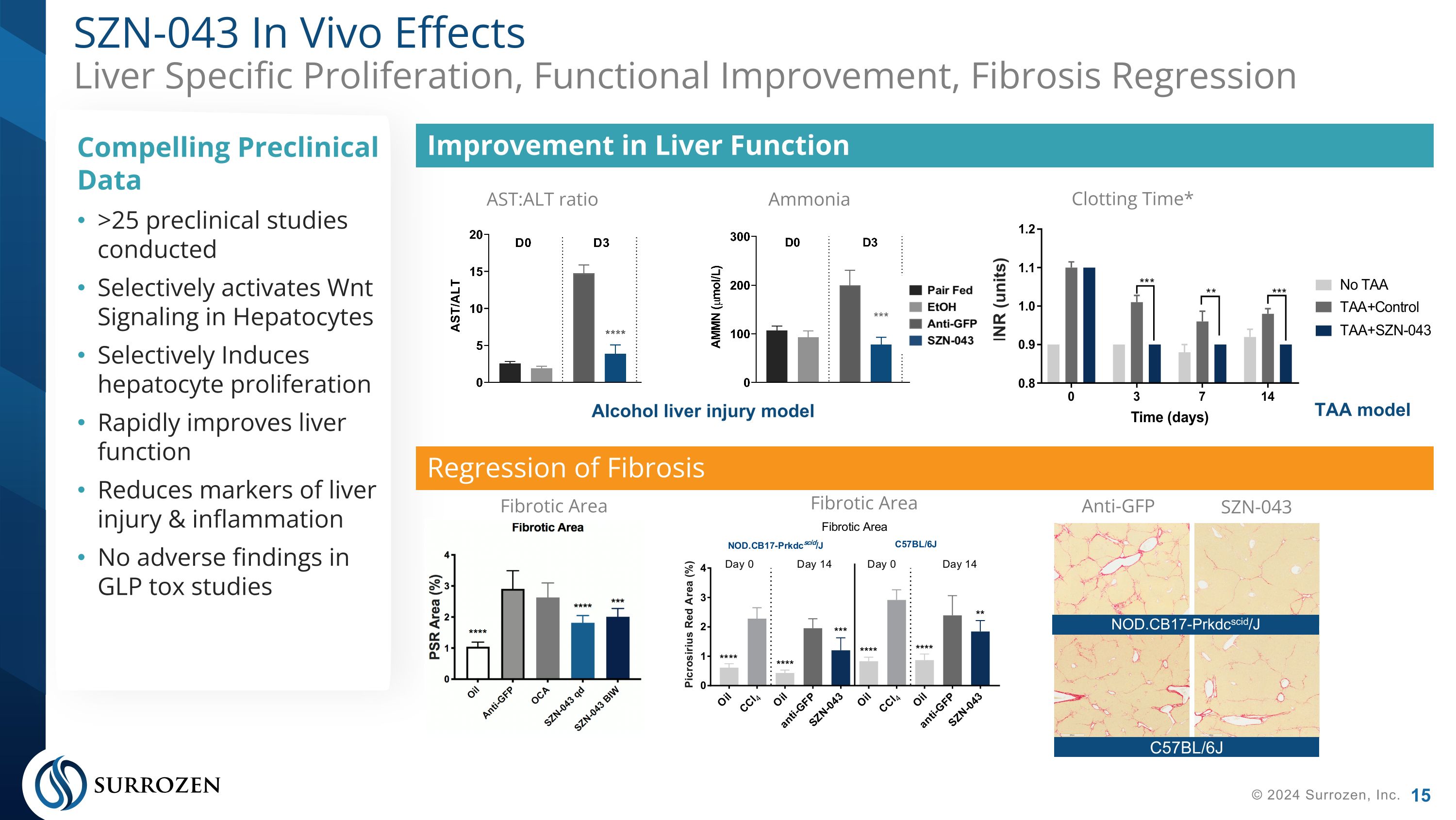 Slide 15