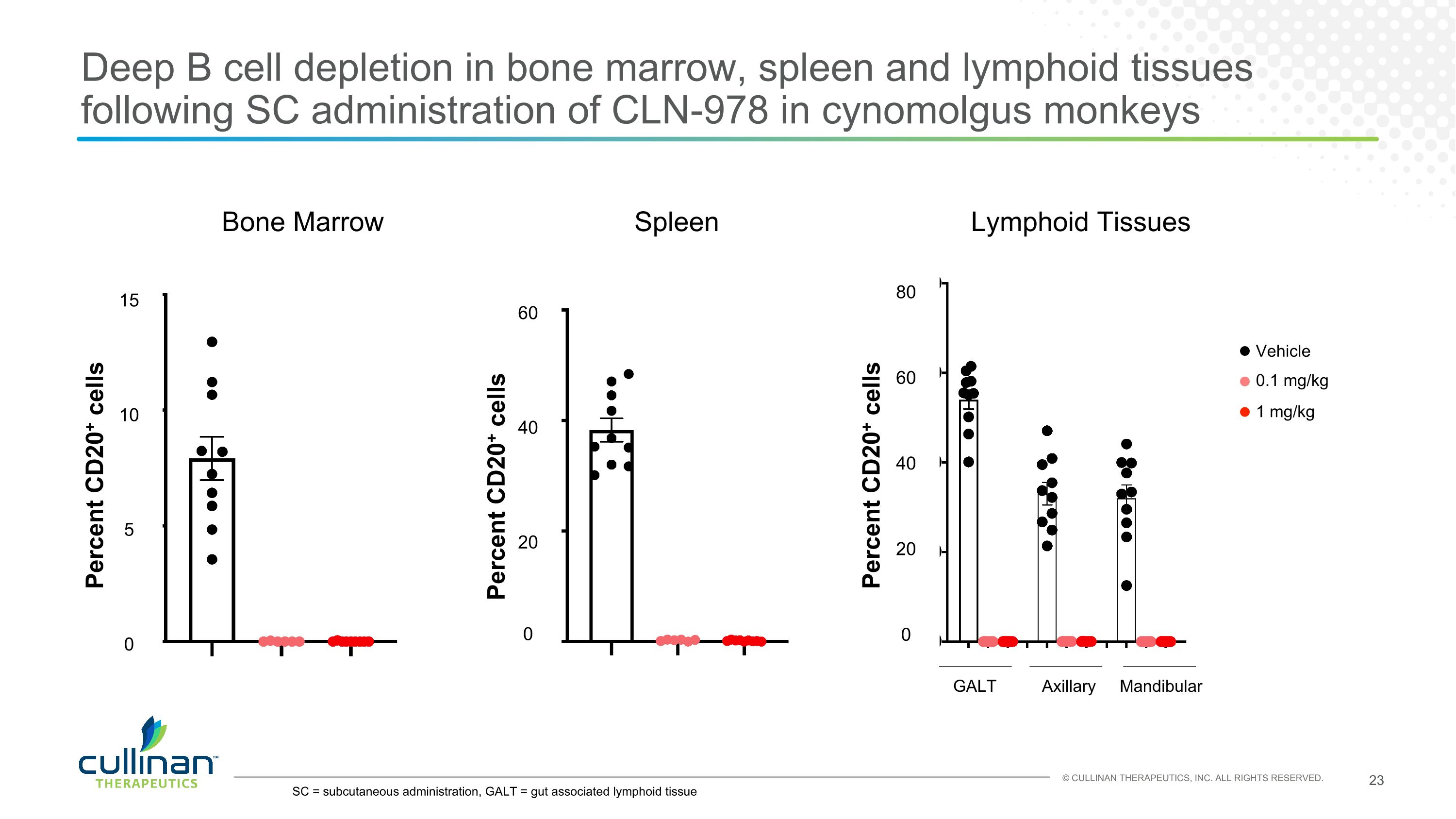 Slide 23