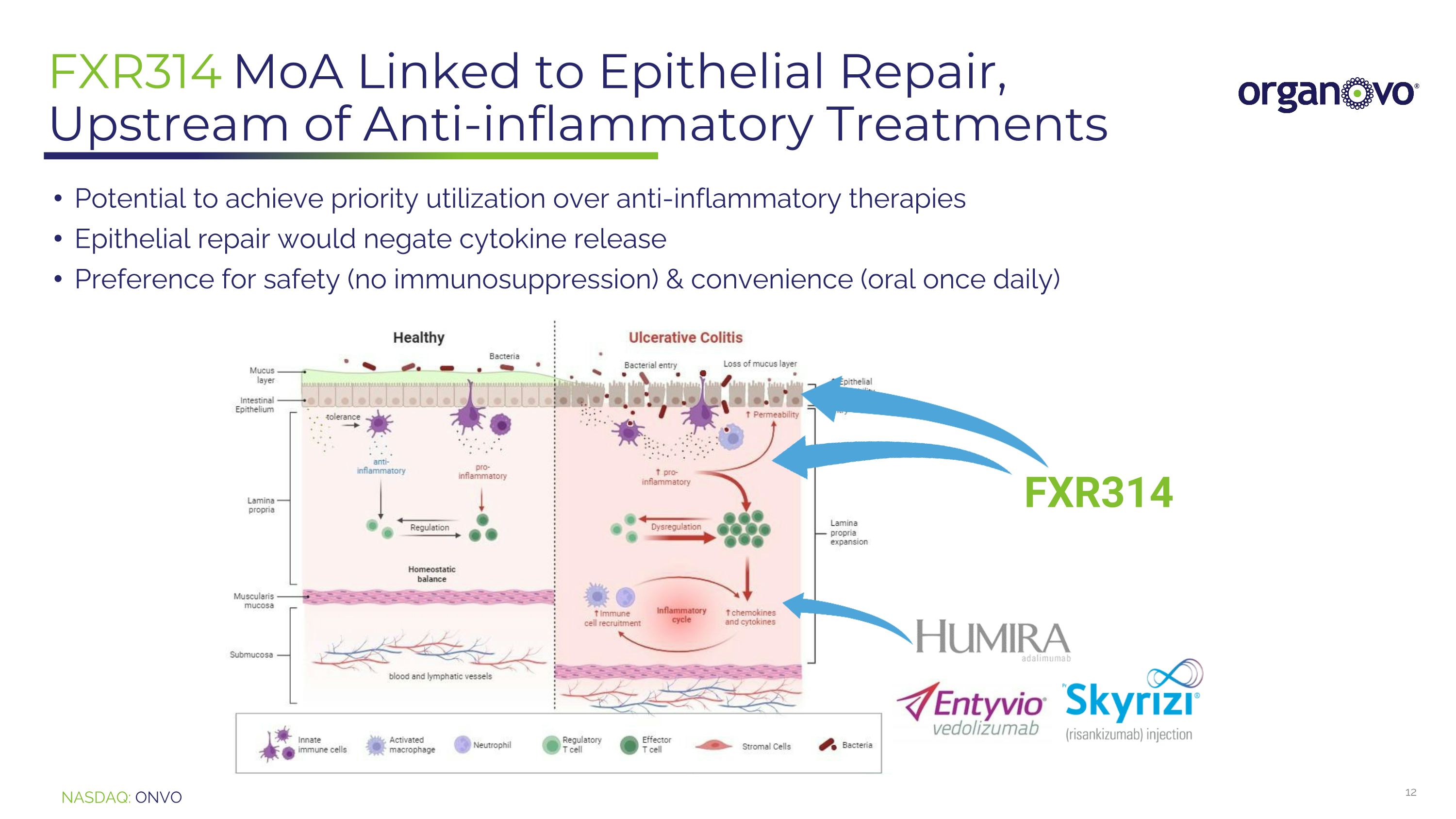 Slide 12