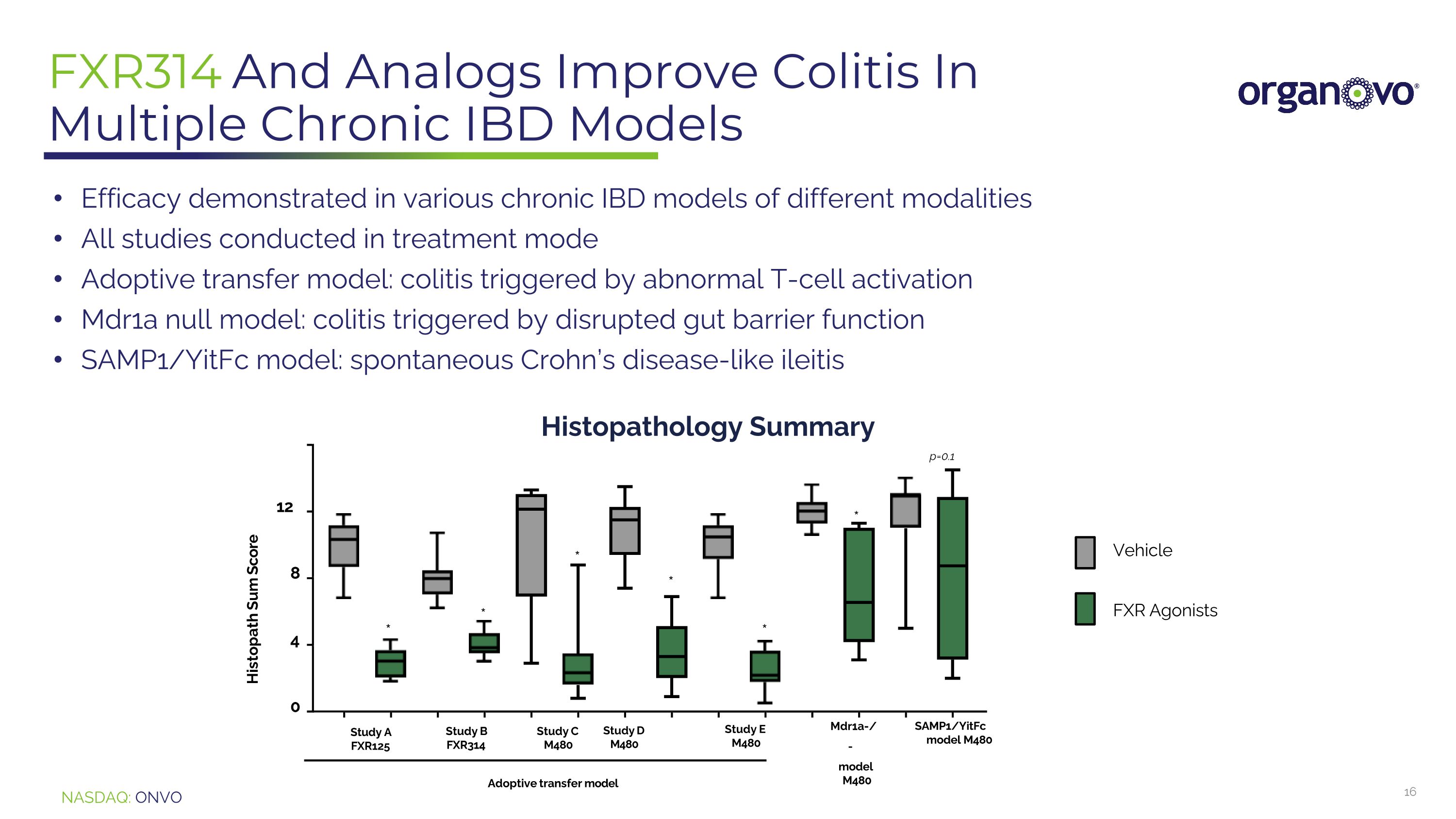 Slide 16