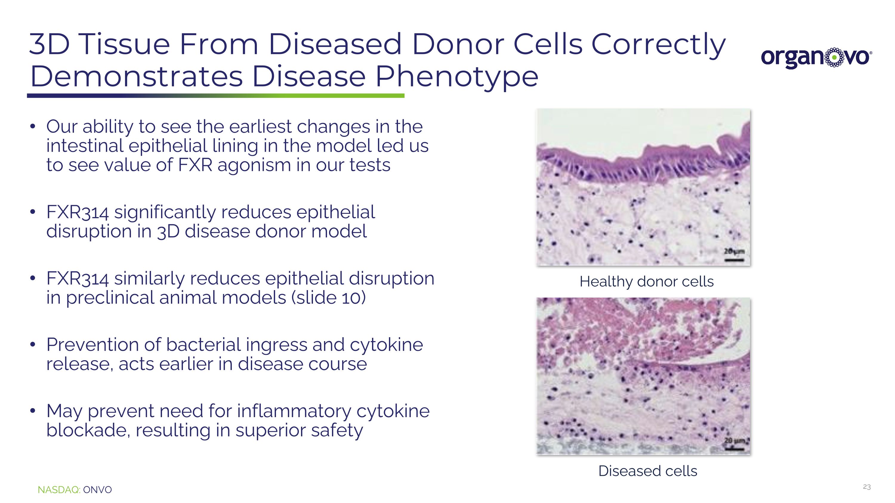 Slide 23