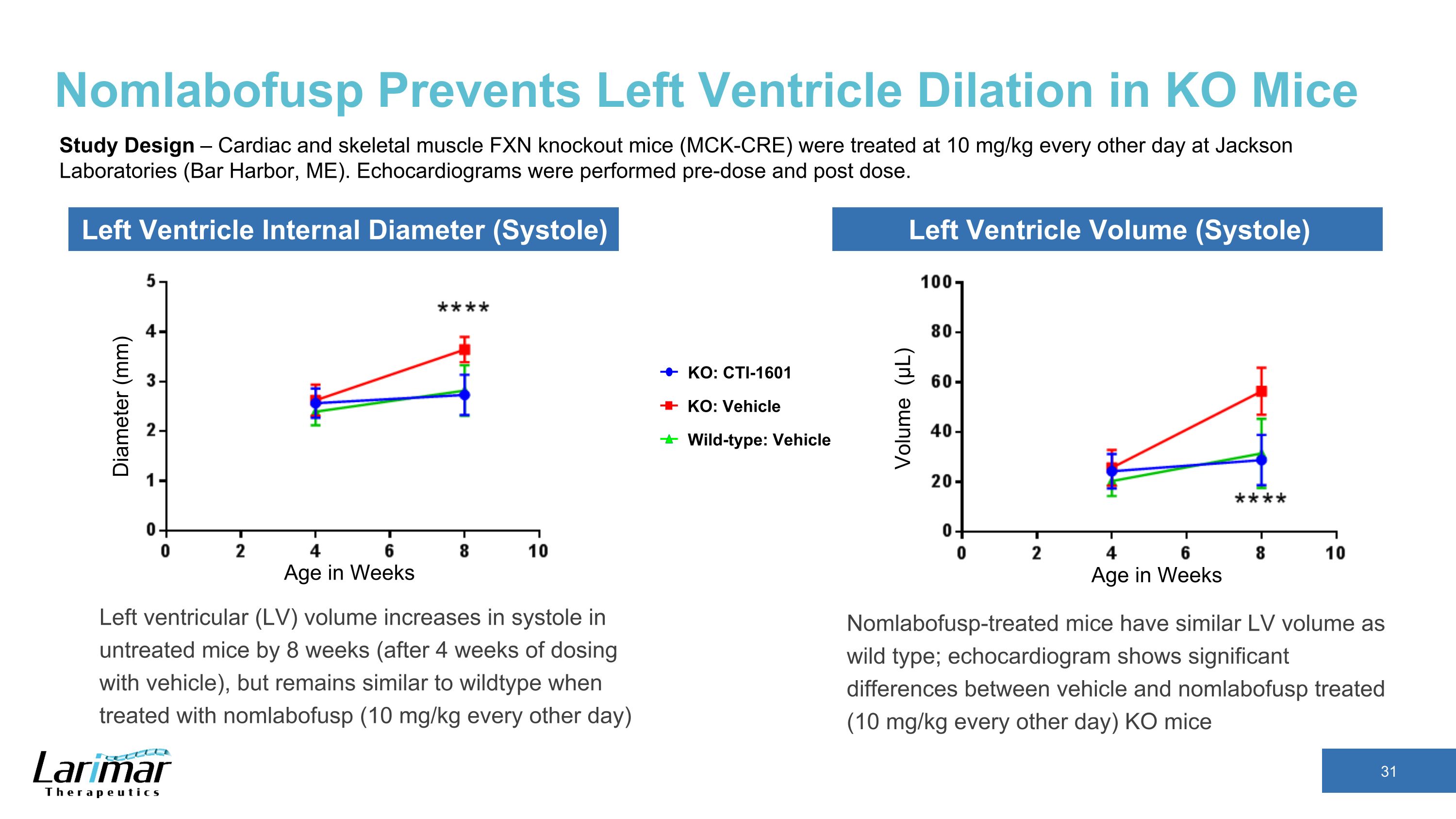 Slide 31