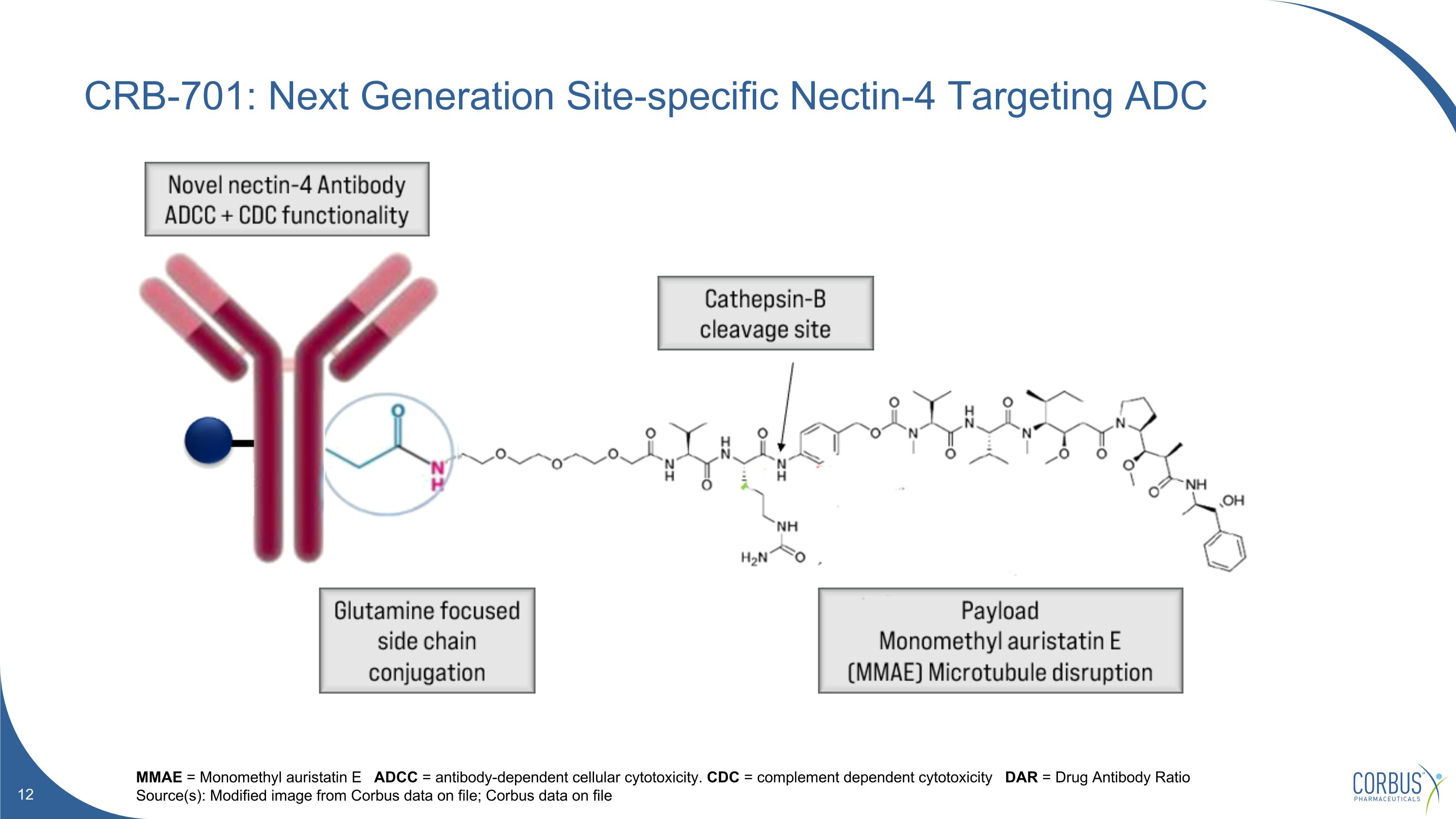 Slide 12