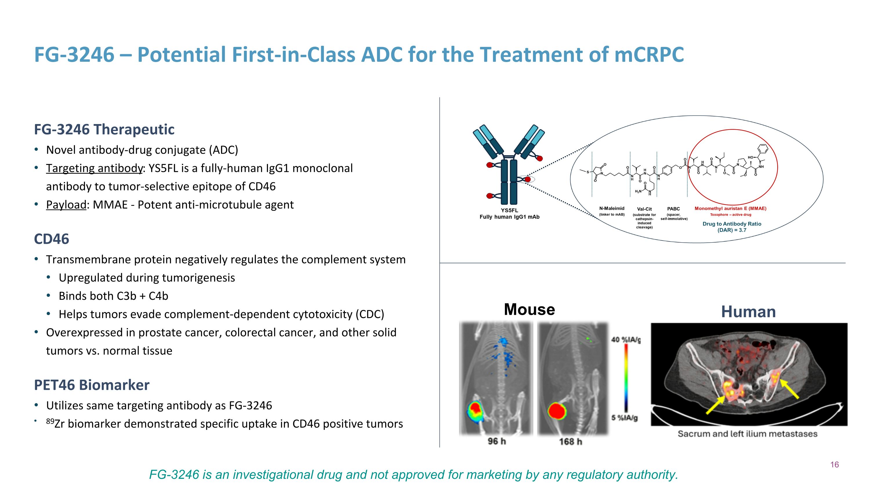 Slide 16