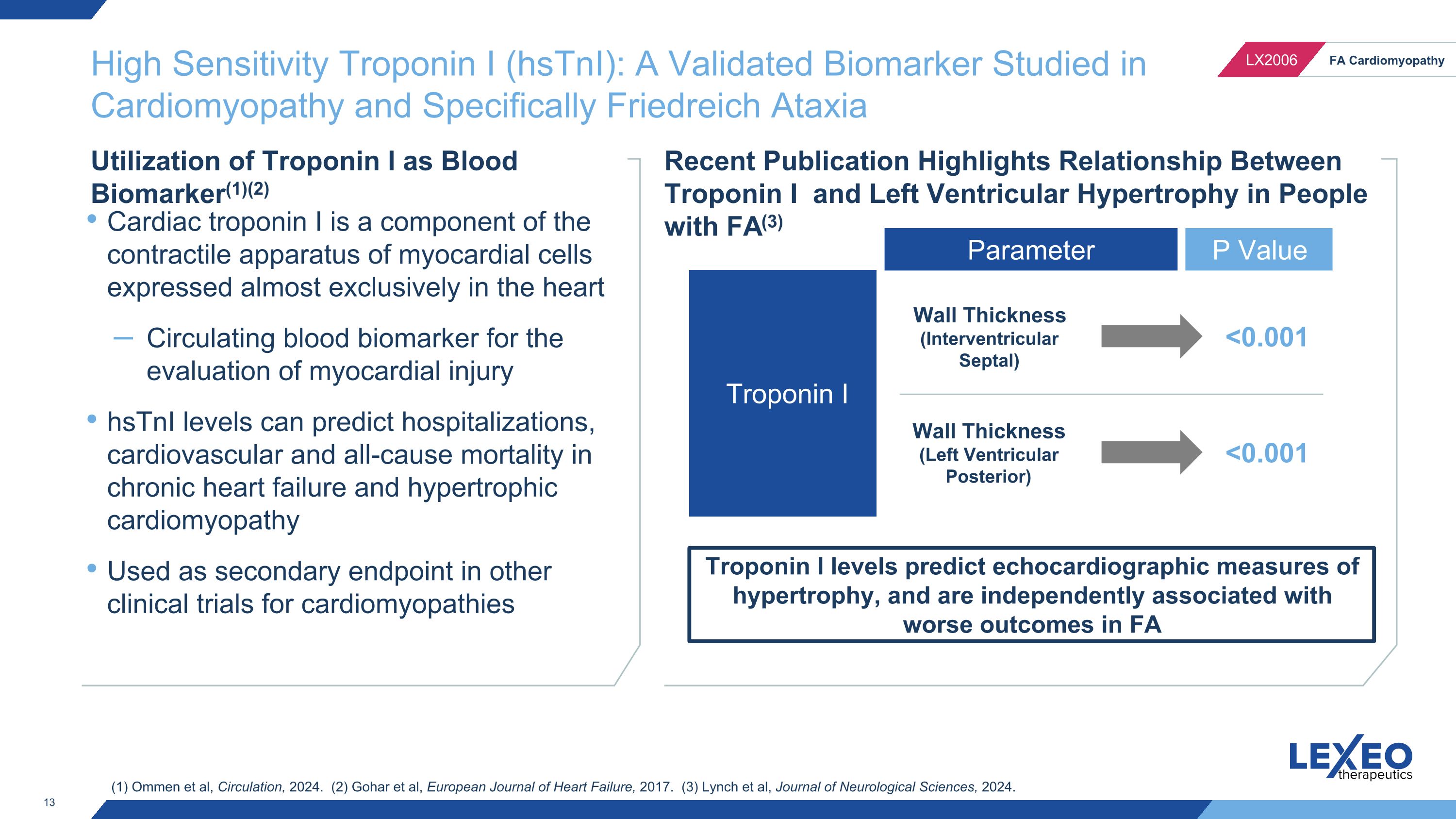 Slide 13