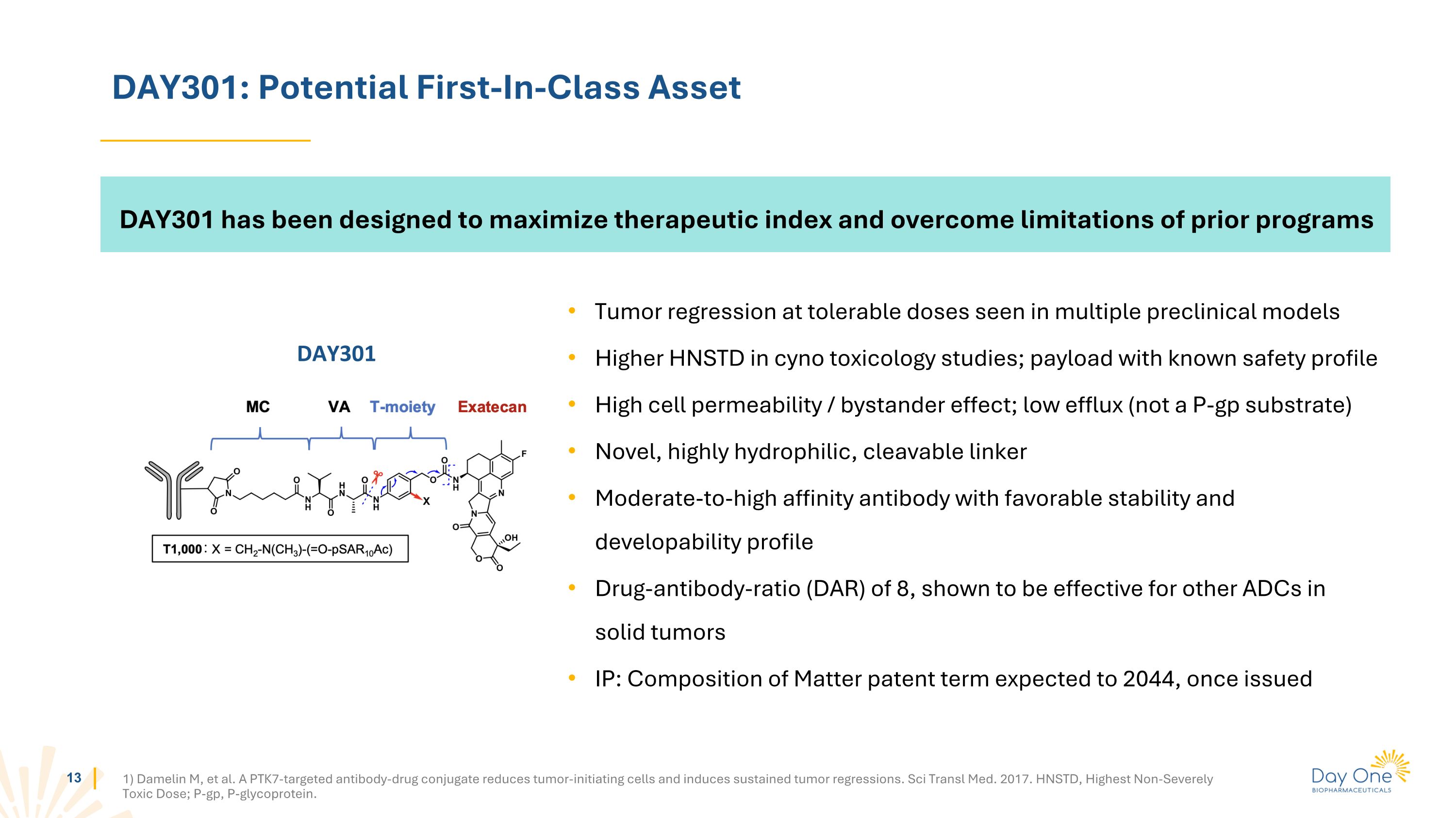 Slide 13