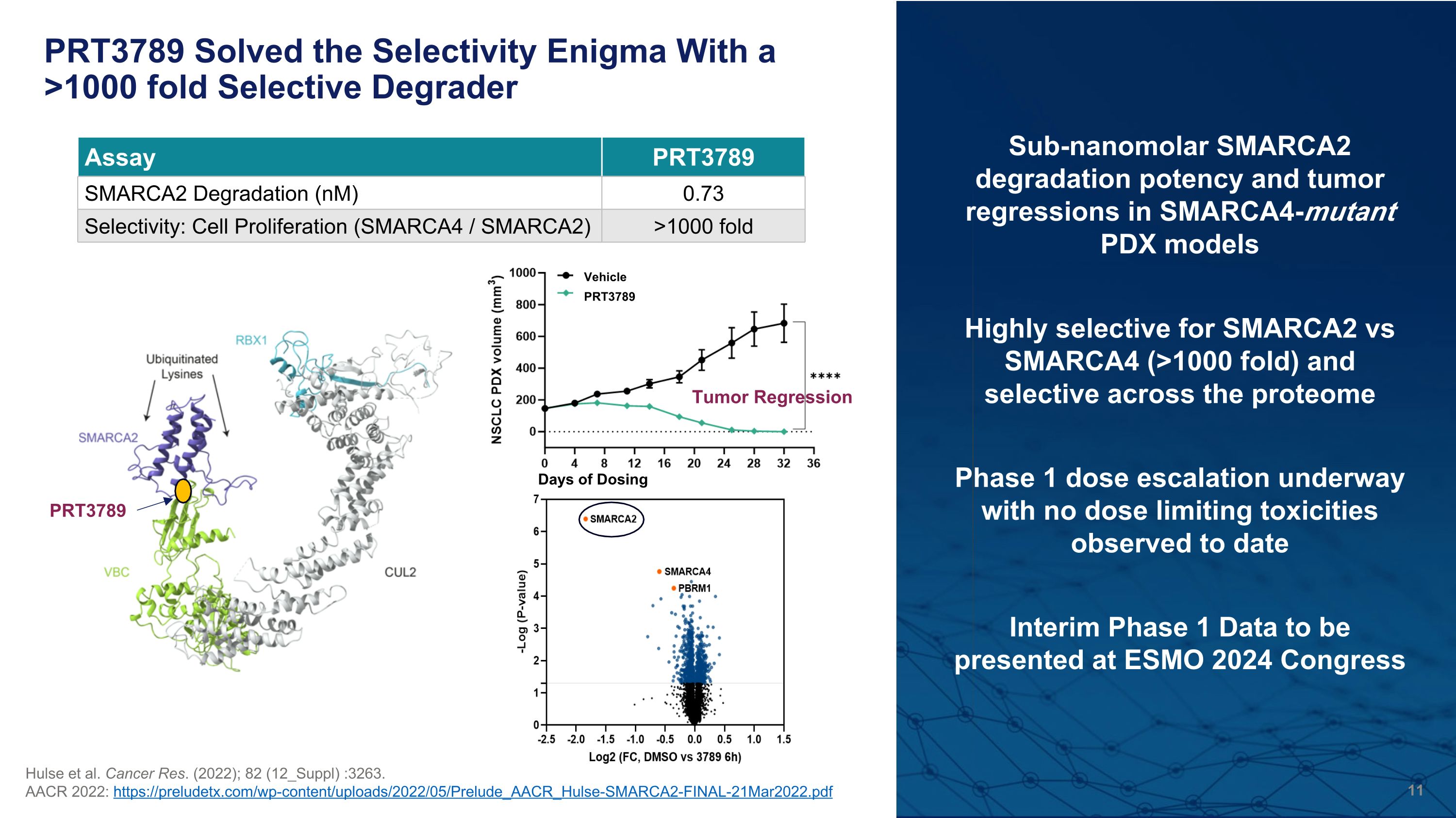 Slide 11