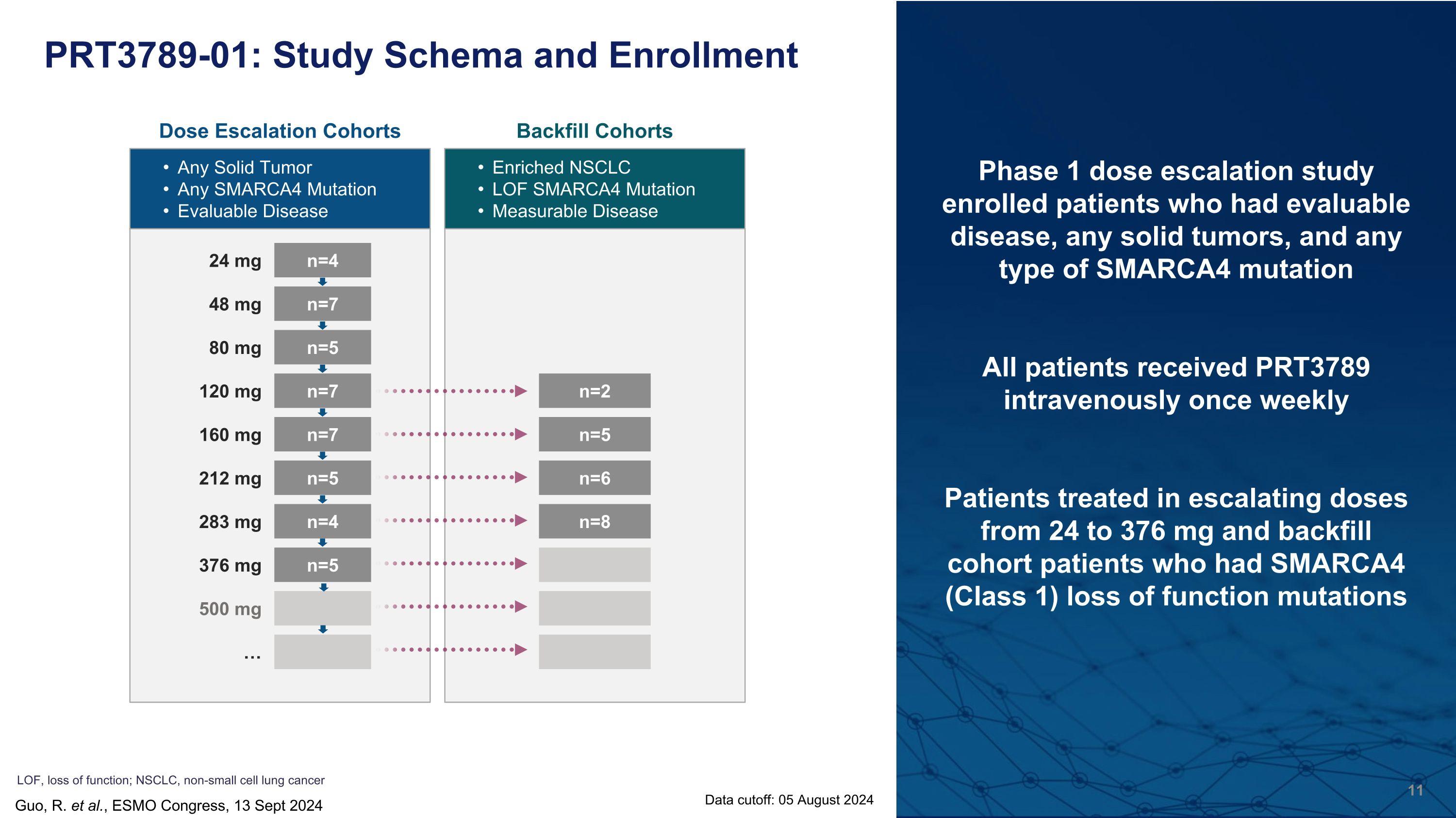 Slide 11