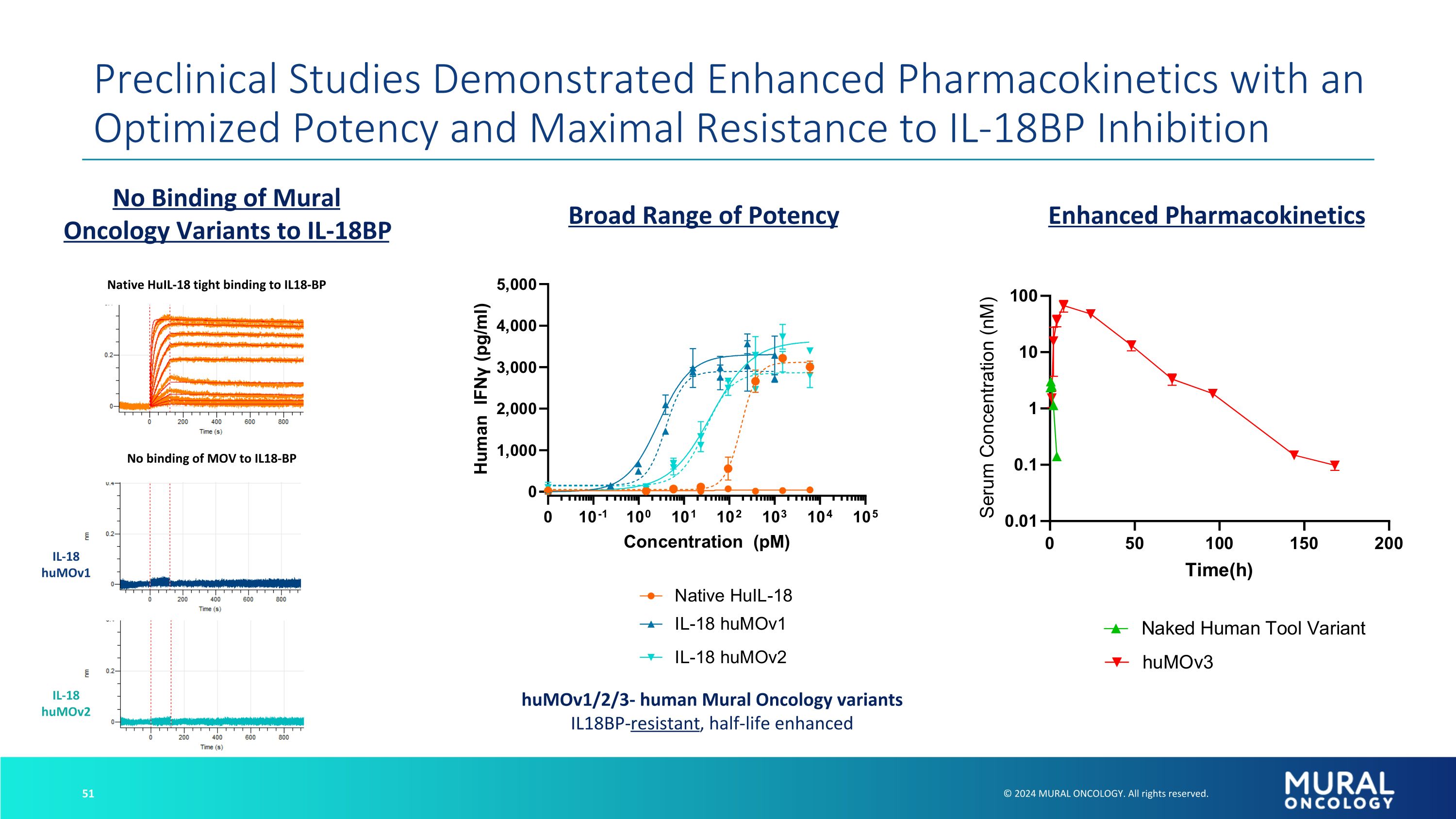 Slide 51