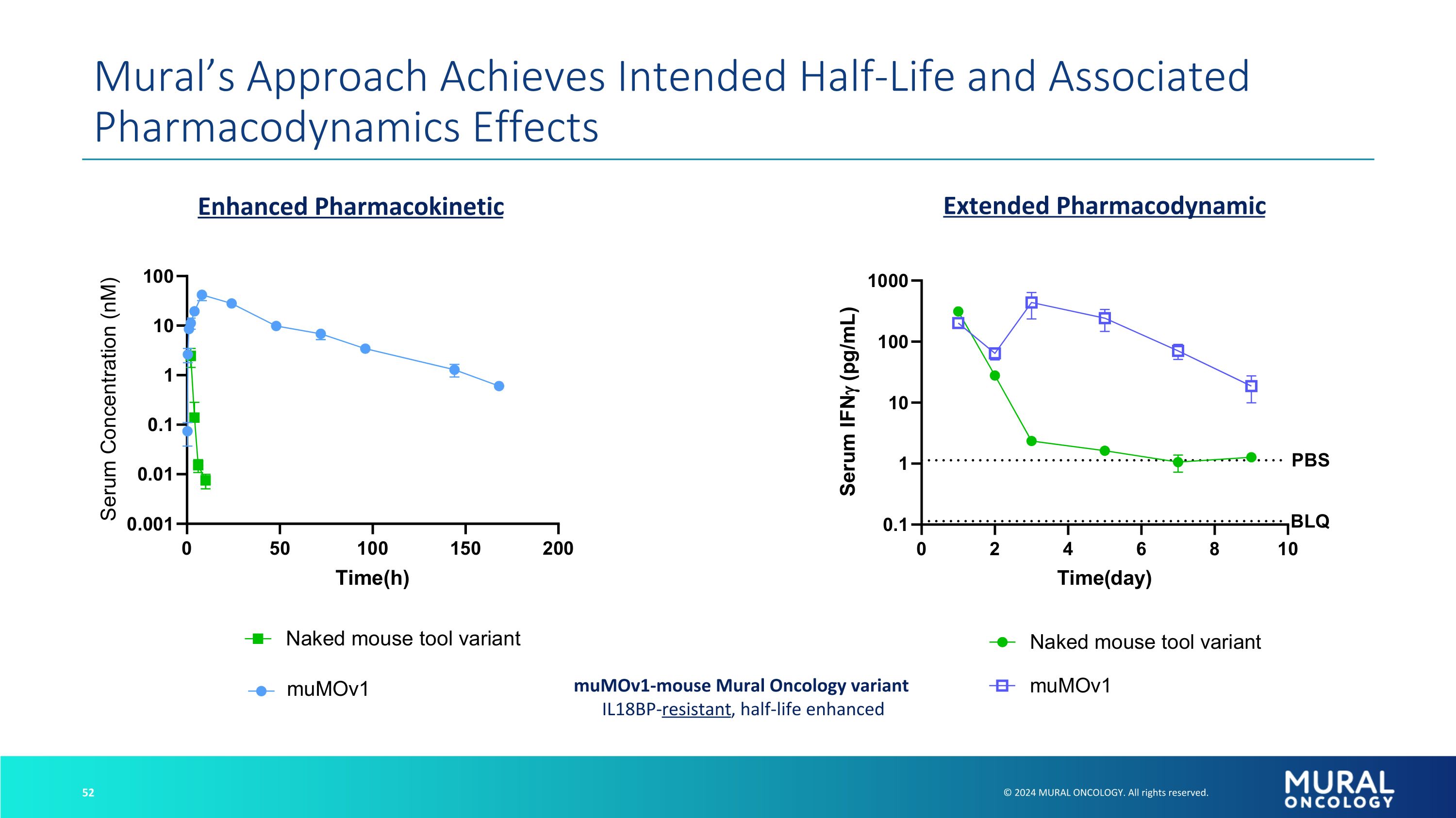 Slide 52