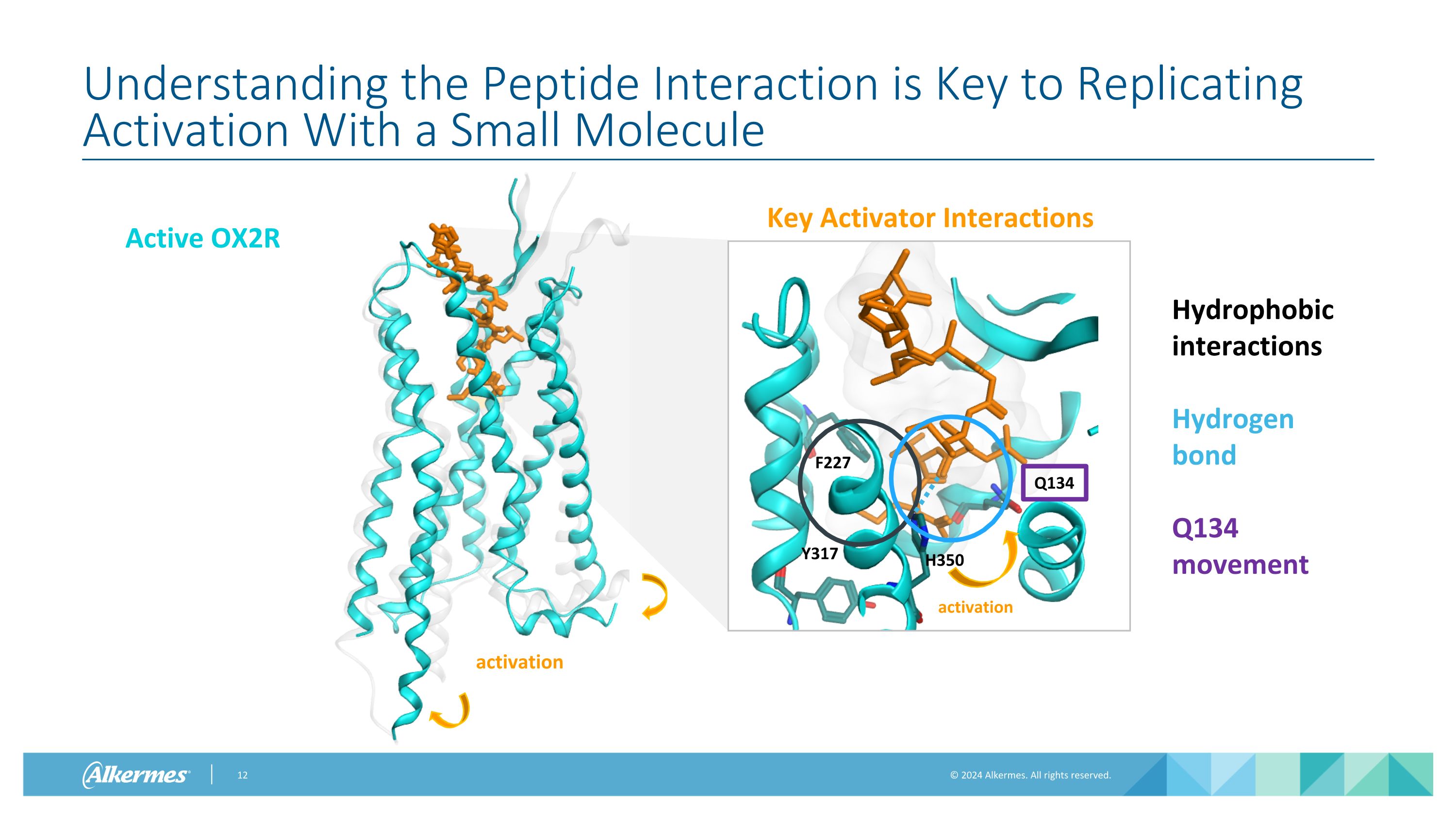 Slide 12