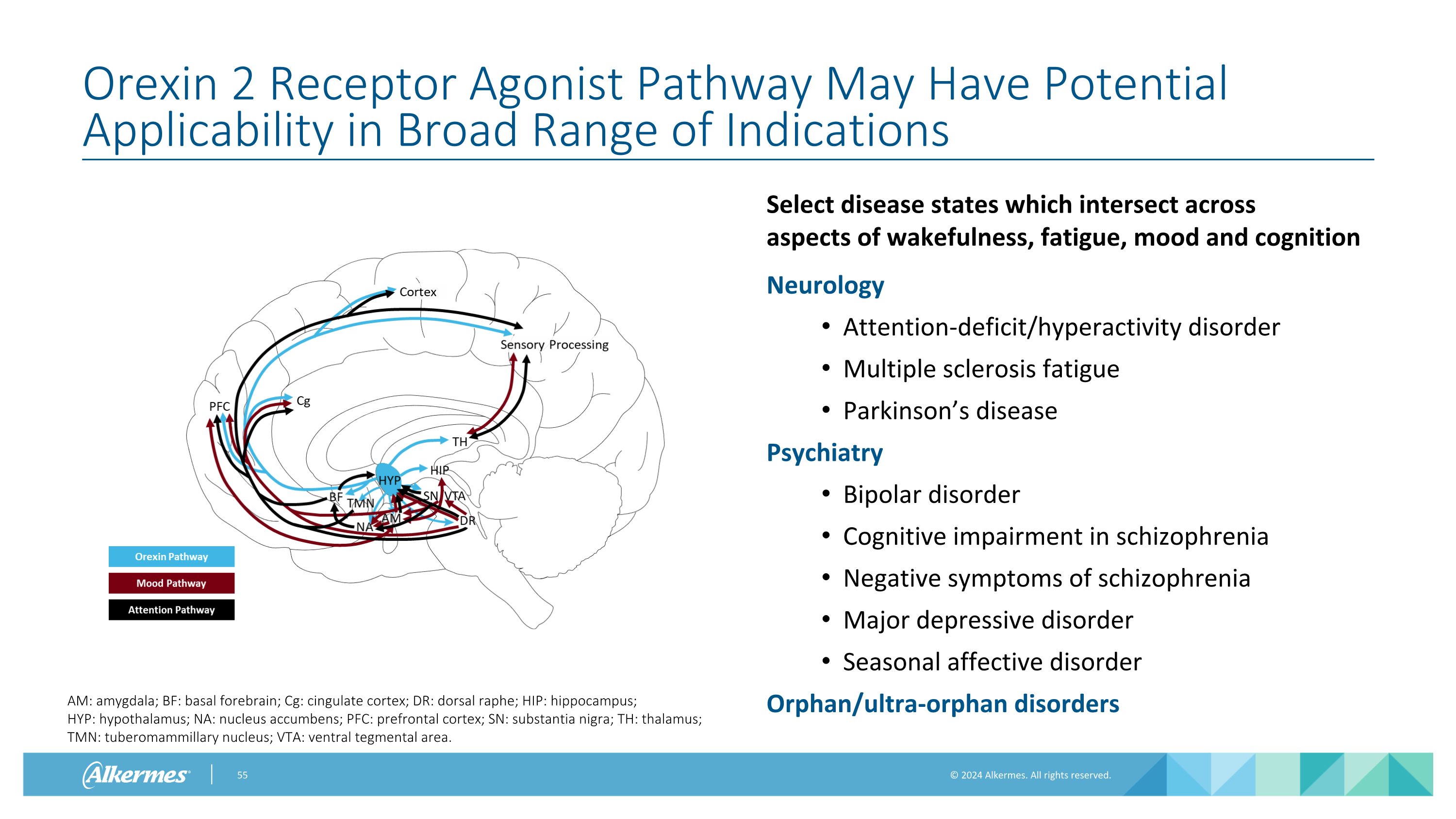 Slide 55