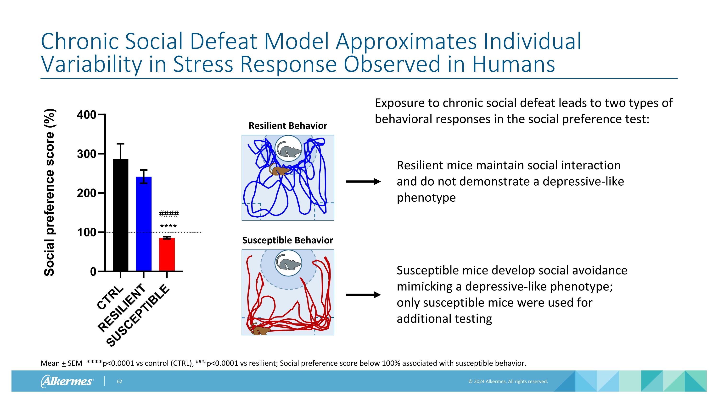 Slide 62