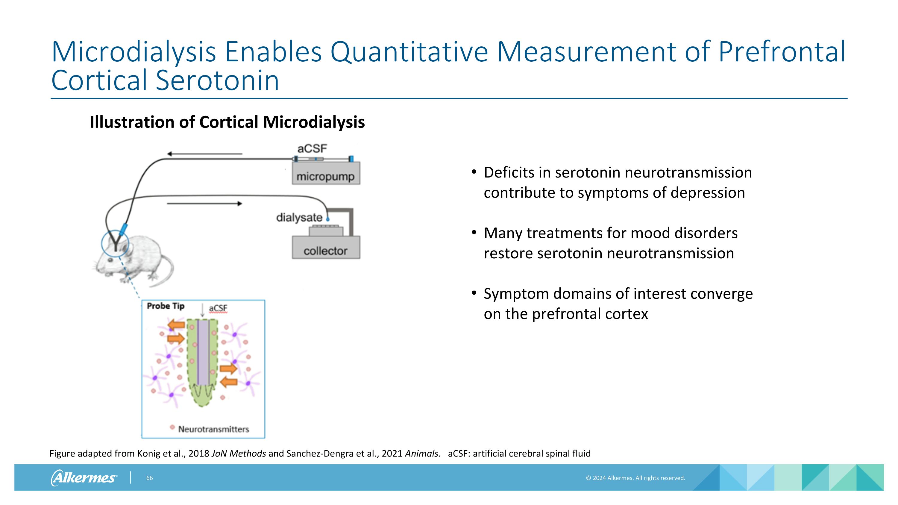 Slide 66