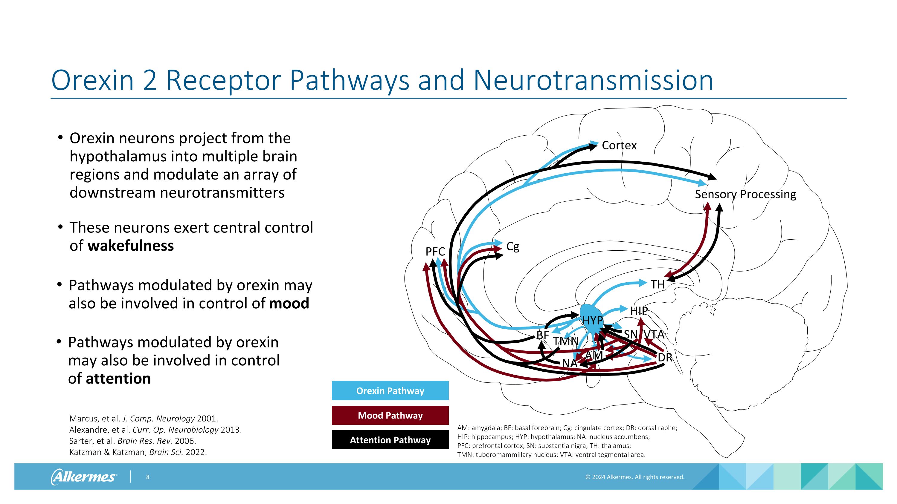 Slide 8