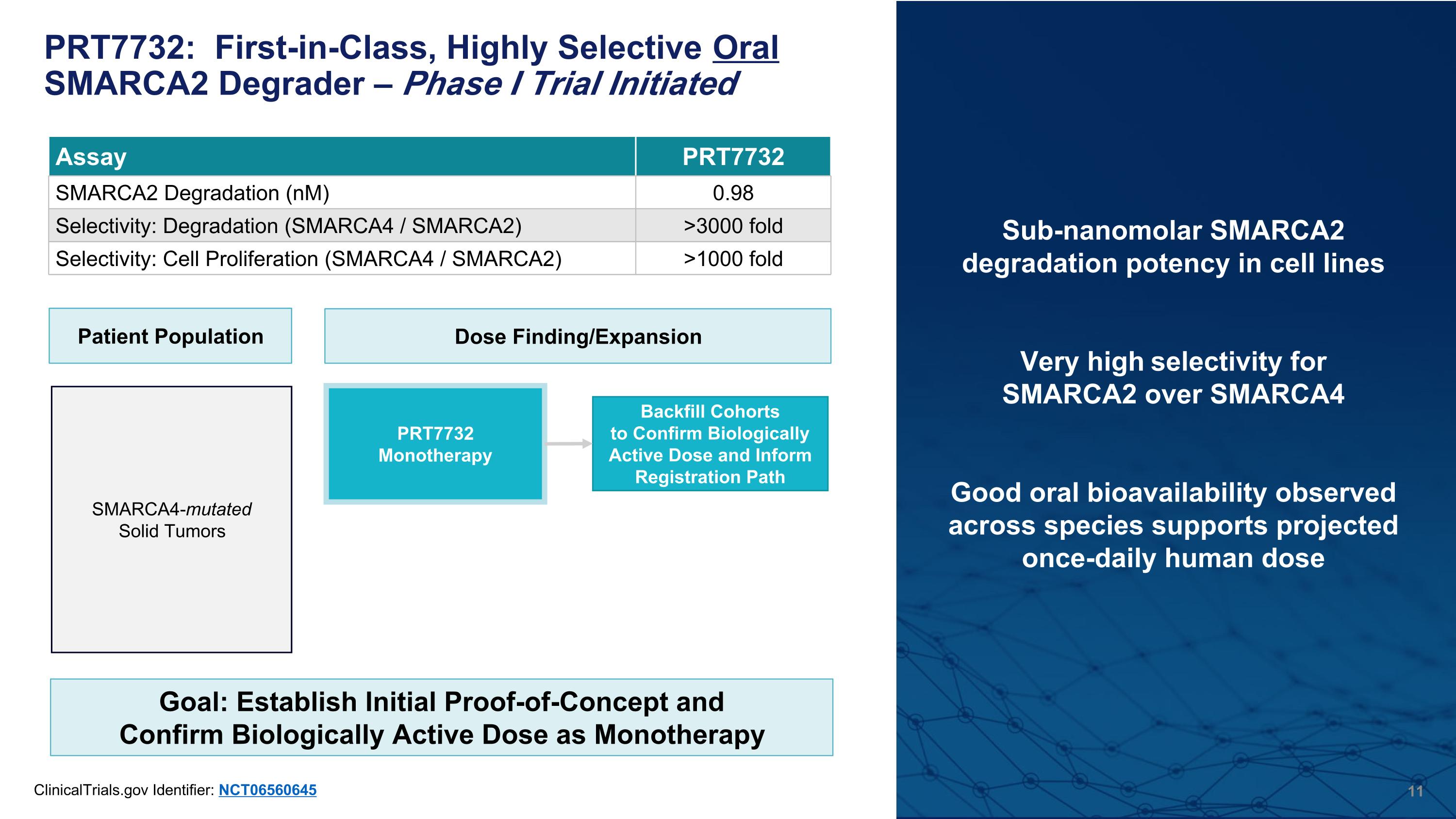 Slide 11