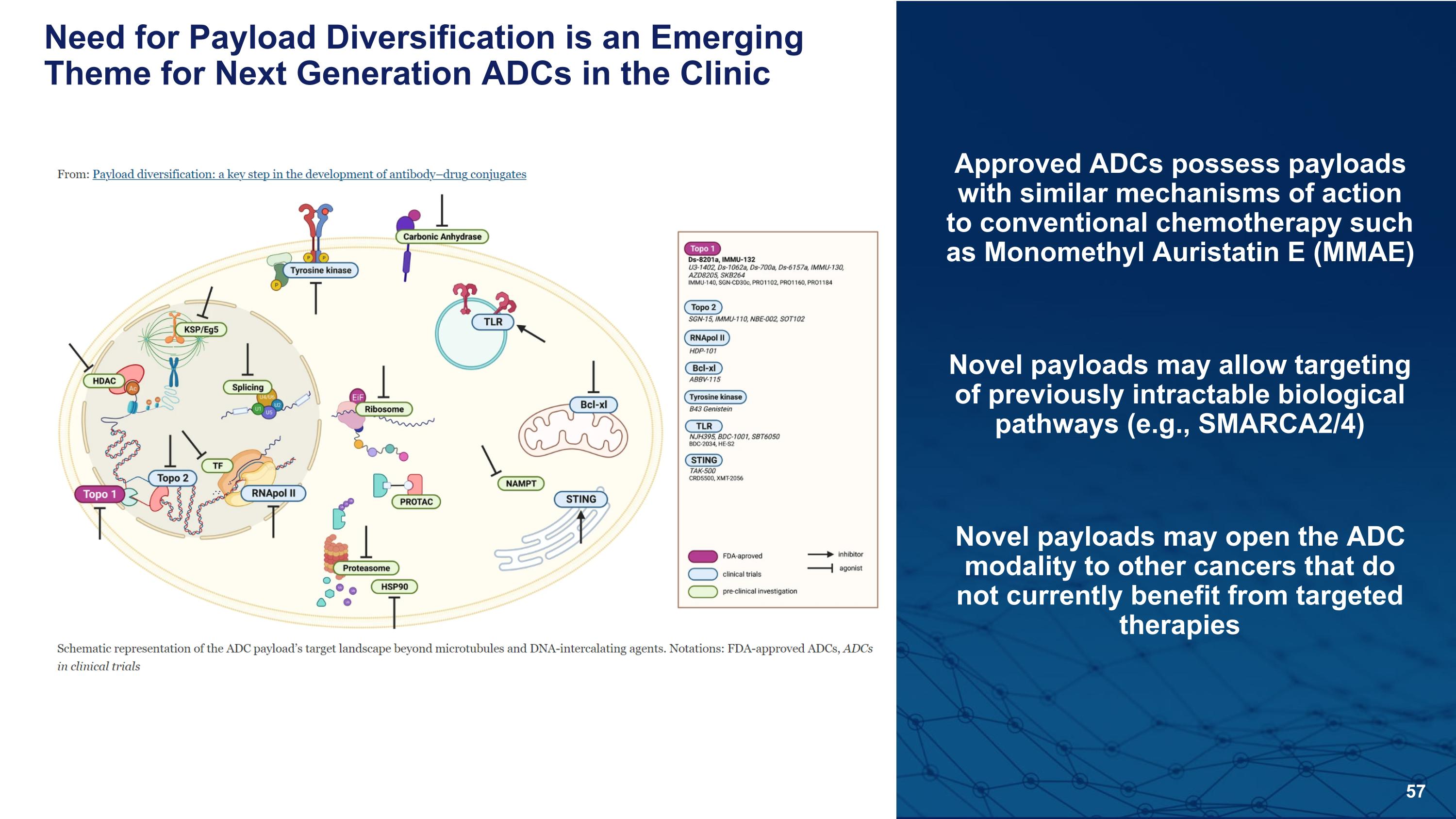 Slide 57