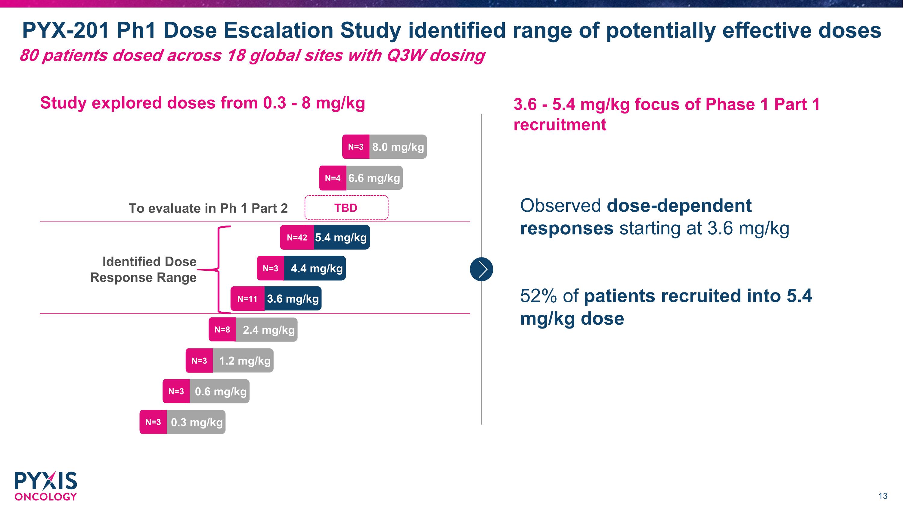 Slide 13