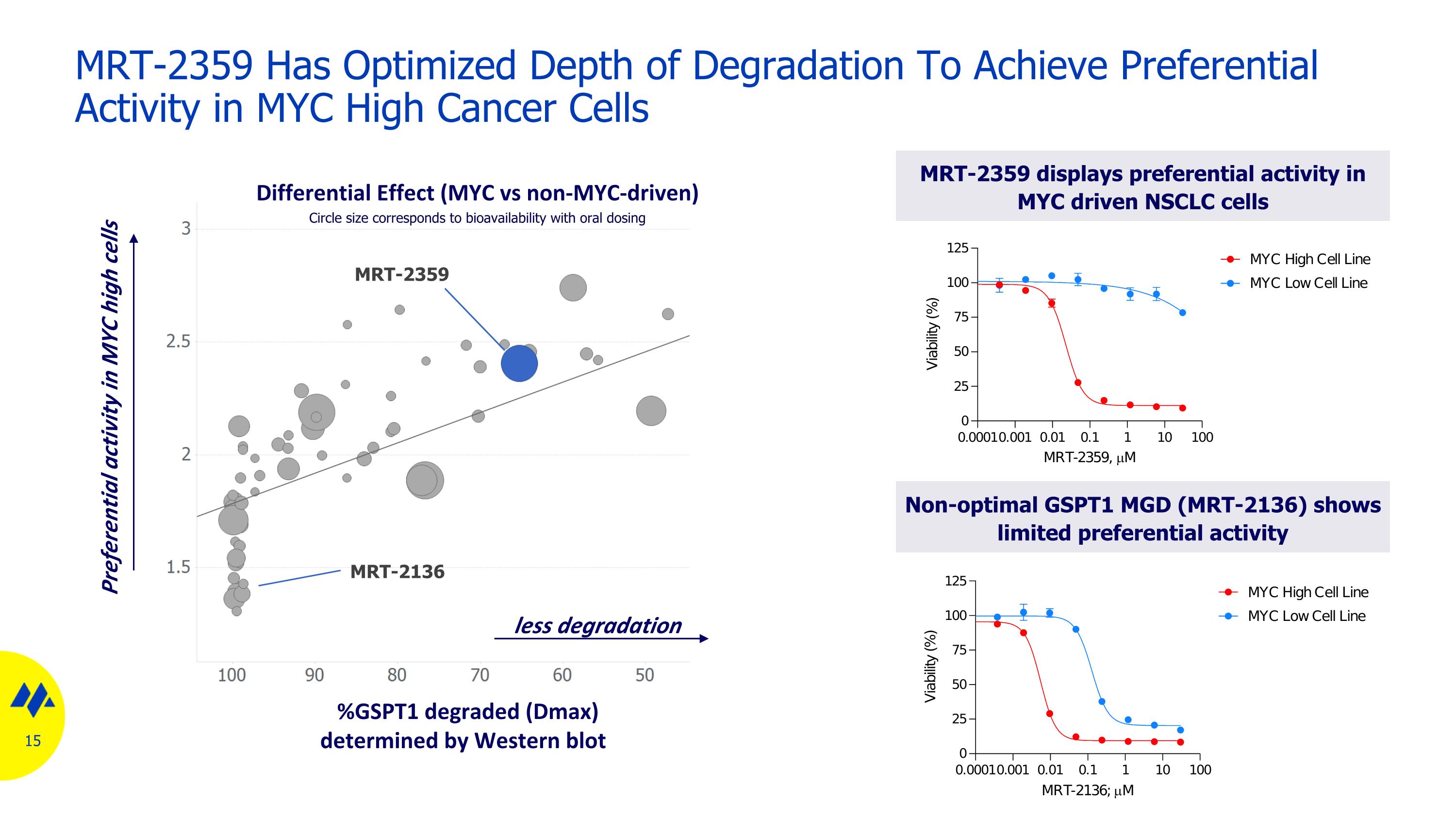 Slide 15