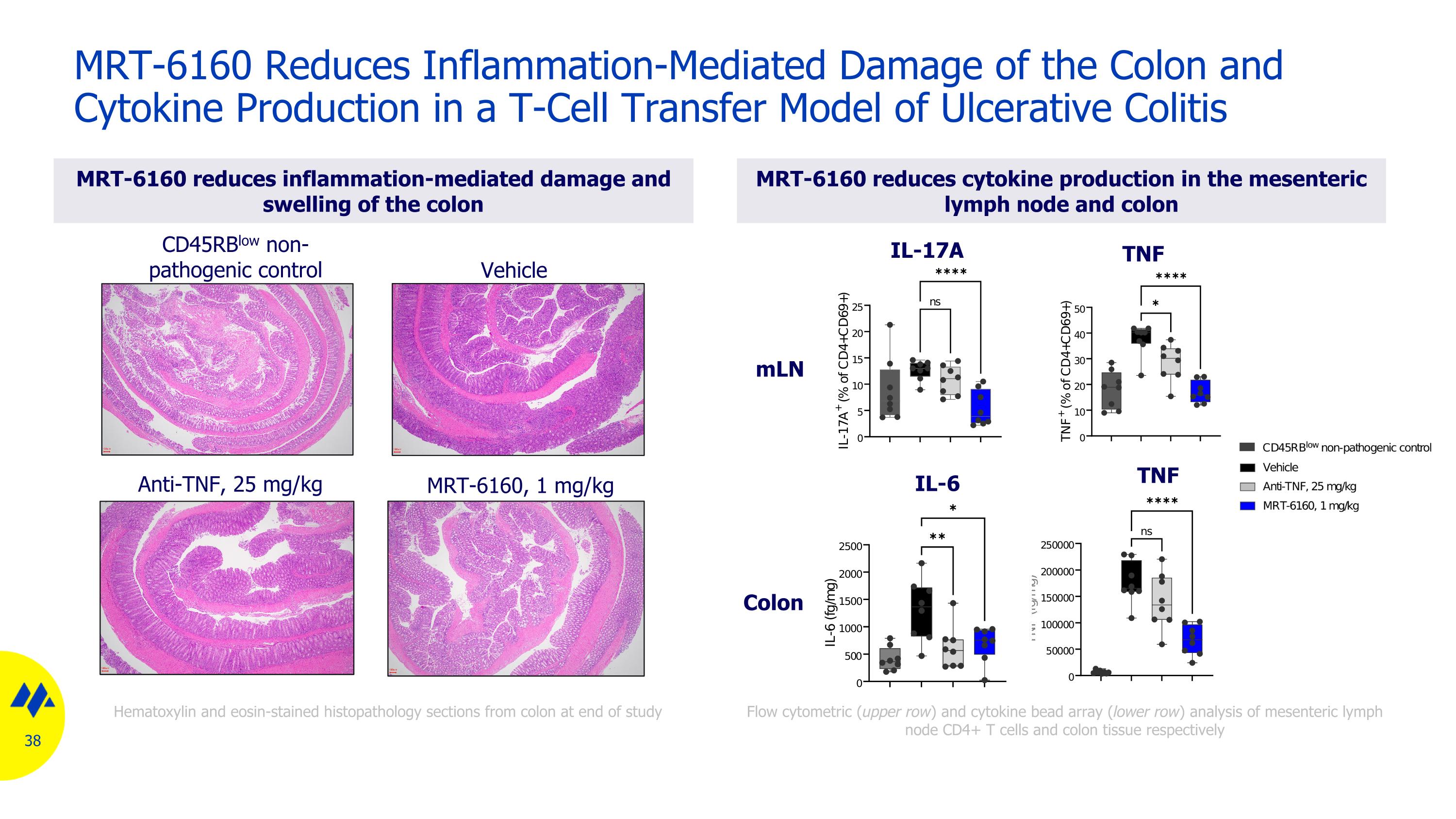 Slide 38