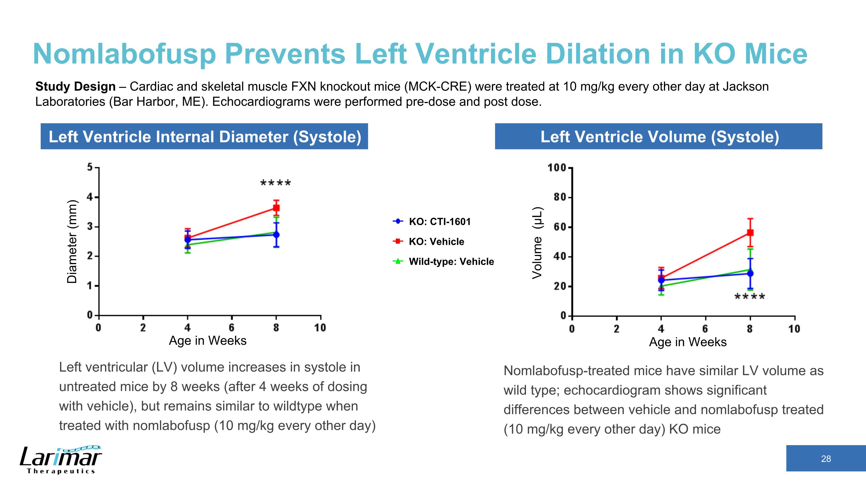 Slide 28