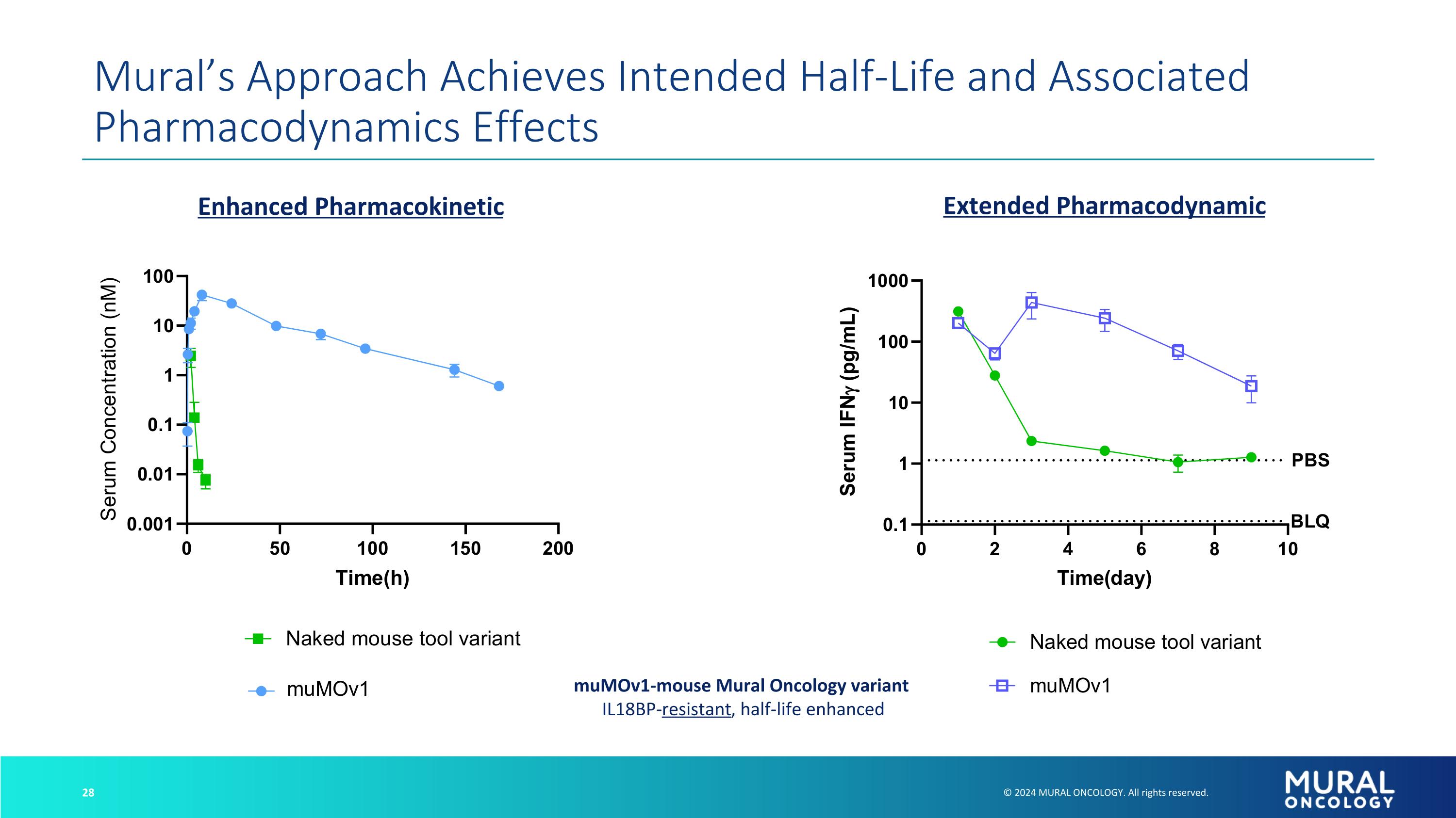 Slide 28