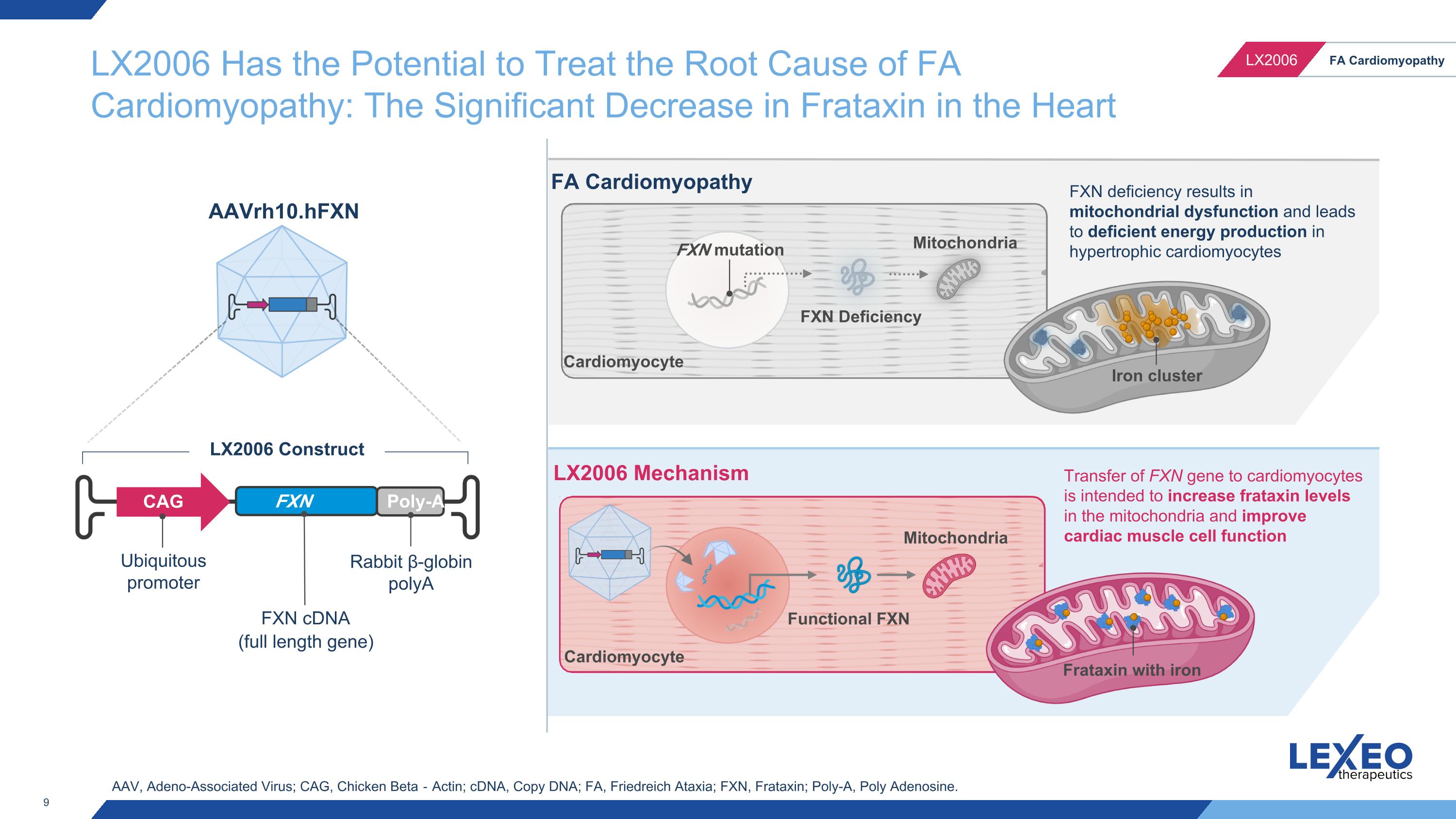 Slide 9